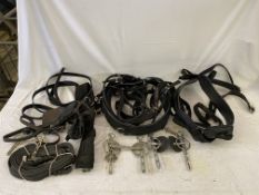 Pony webbing harness