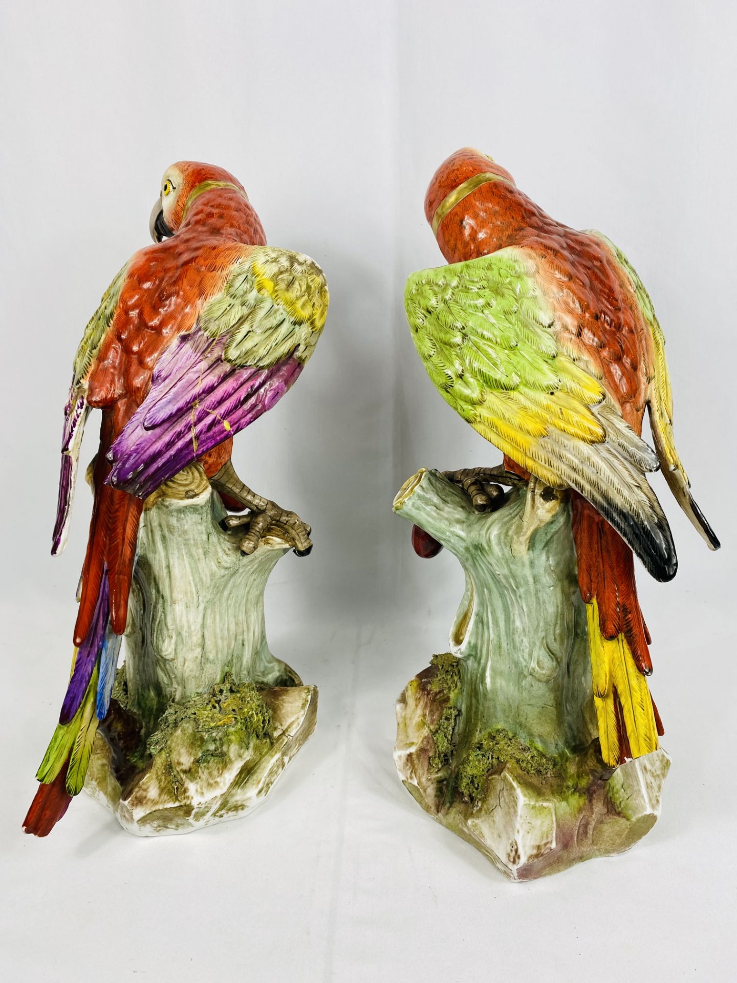 Pair of Continental porcelain parrots - Image 3 of 5