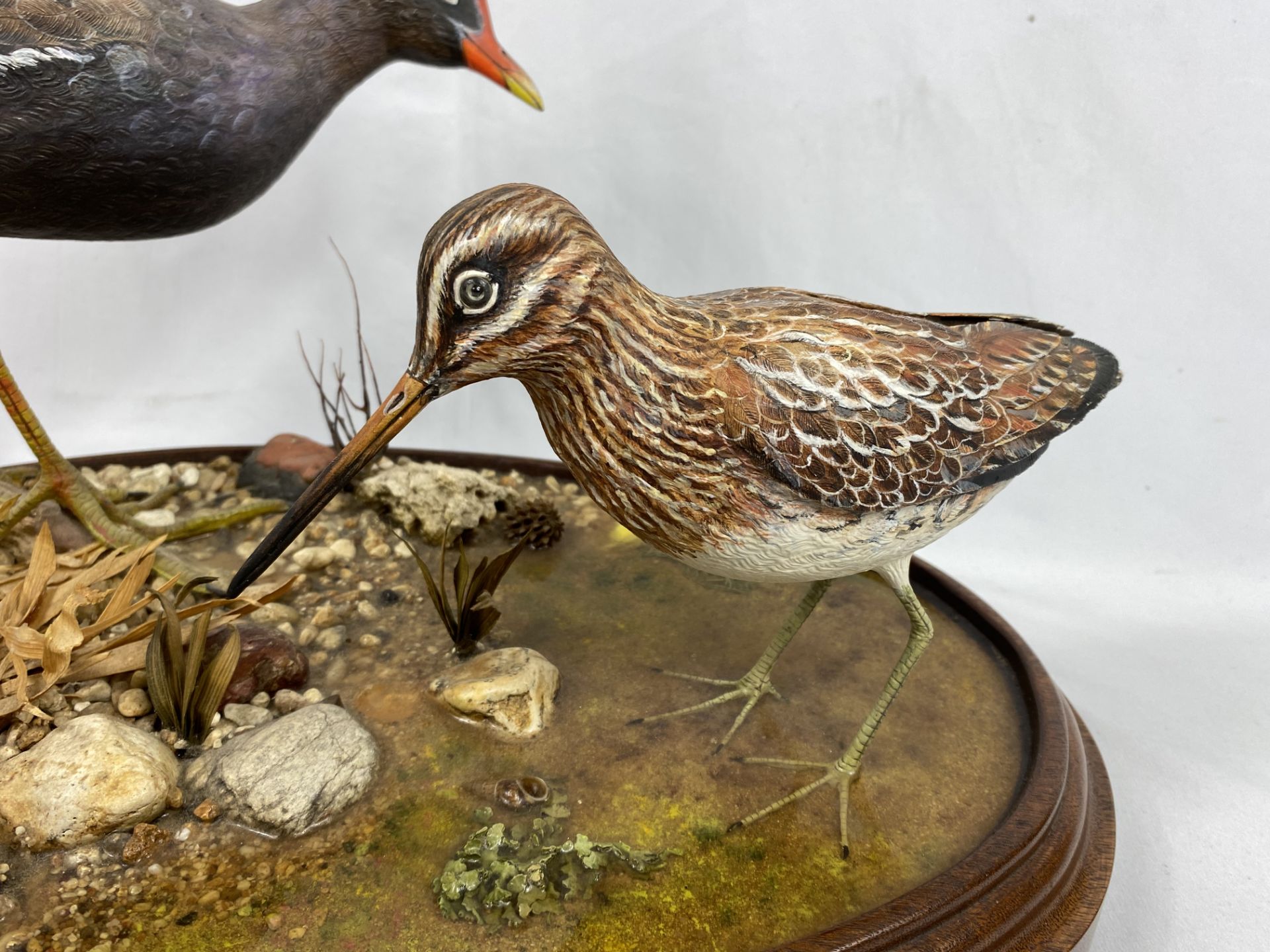 "Wild Feathers" wood bird sculpture by G and J Skeet - Image 3 of 5