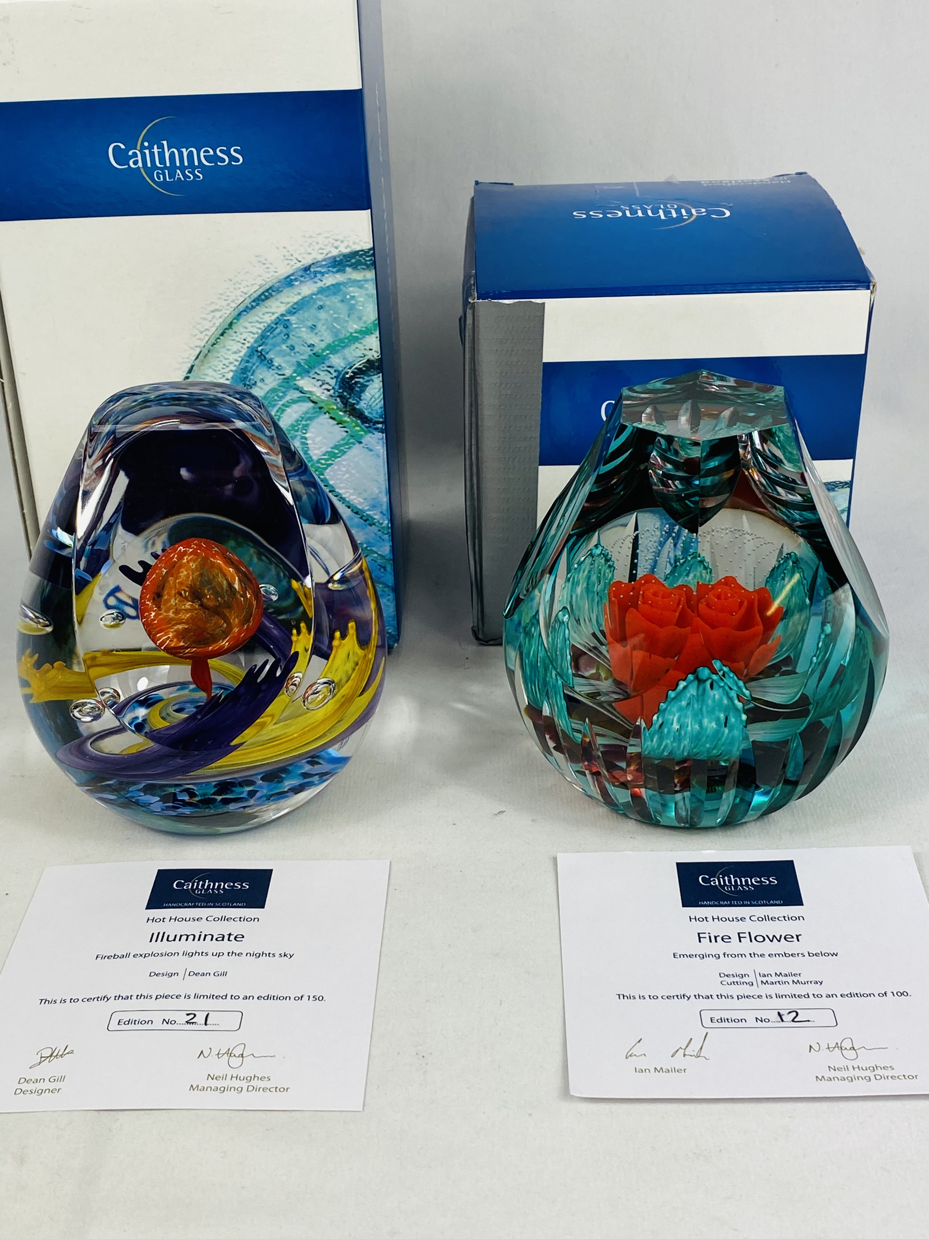 Two Caithness paperweights in boxes - Image 3 of 3