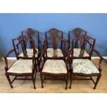 Six Hepplewhite style mahogany armchairs