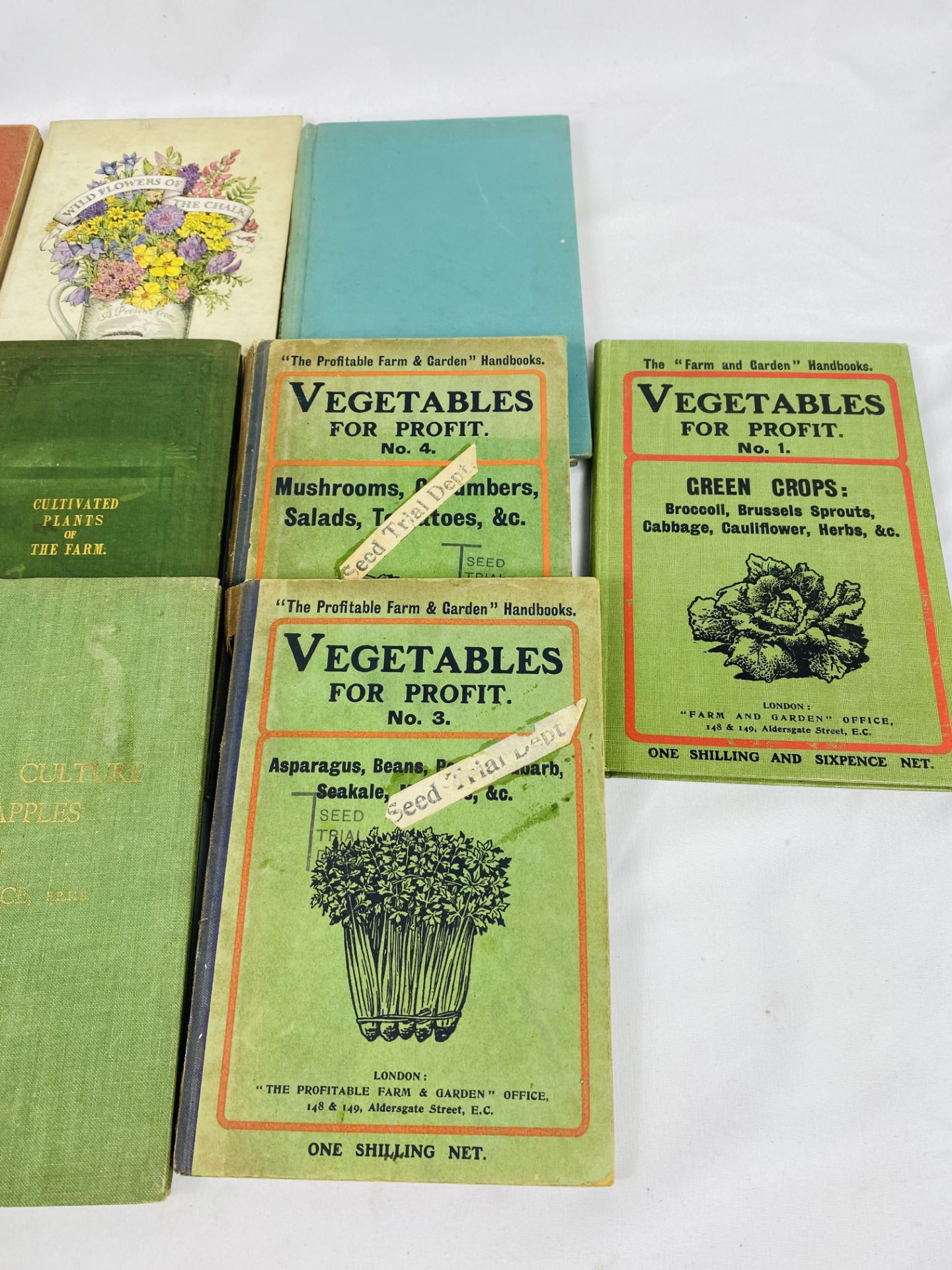 Collection of books on vegetable and flower growing - Image 2 of 3