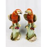 Pair of Continental porcelain parrots