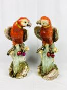 Pair of Continental porcelain parrots