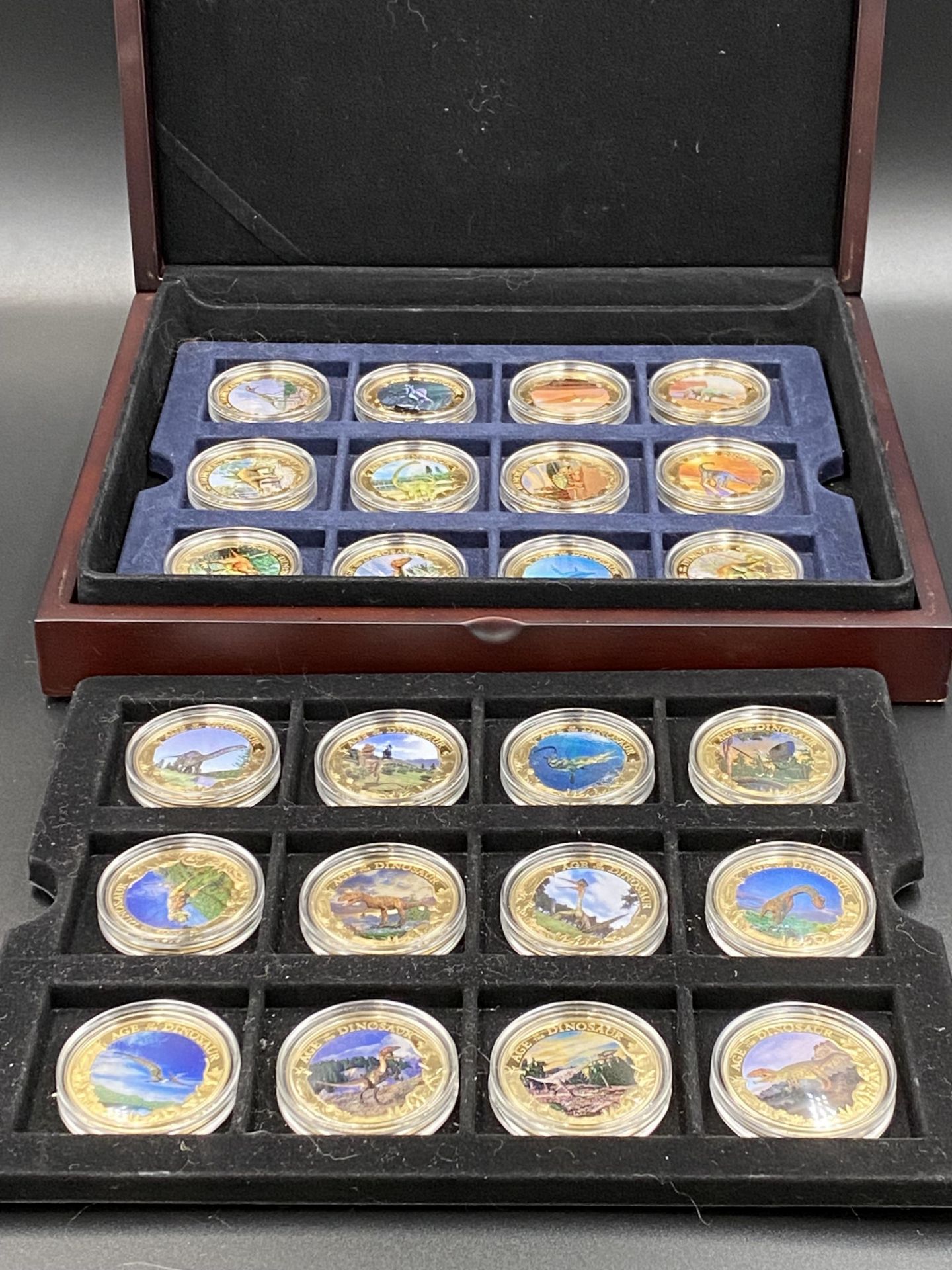 Westminster Coins, the Age of the Dinosaurs, 24 limited edition 24ct gold plated coins - Image 5 of 5