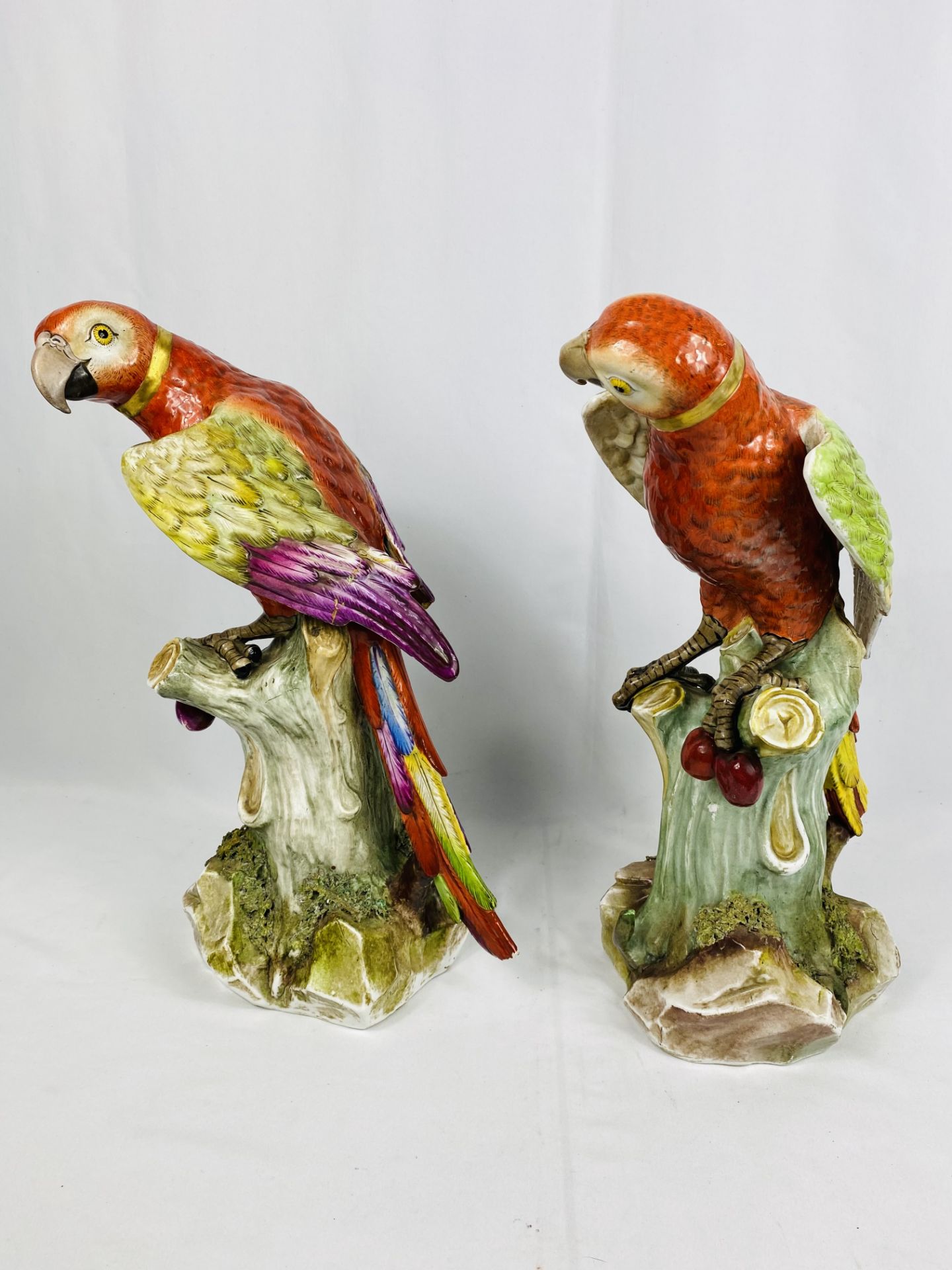 Pair of Continental porcelain parrots - Image 4 of 5