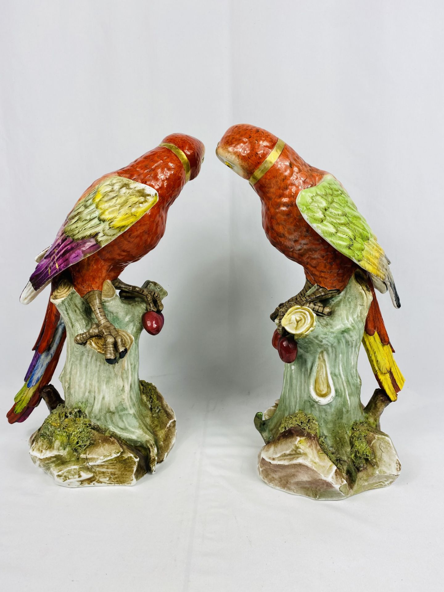 Pair of Continental porcelain parrots - Image 2 of 5