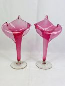 A pair of cranberry glass 'preacher in the pulpit' glass vases