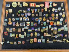 Collection of pin badges