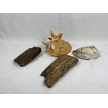 A conch shell and one other together with two pieces of petrified wood