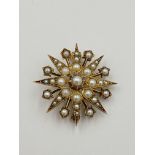 9ct gold and seed pearl brooch