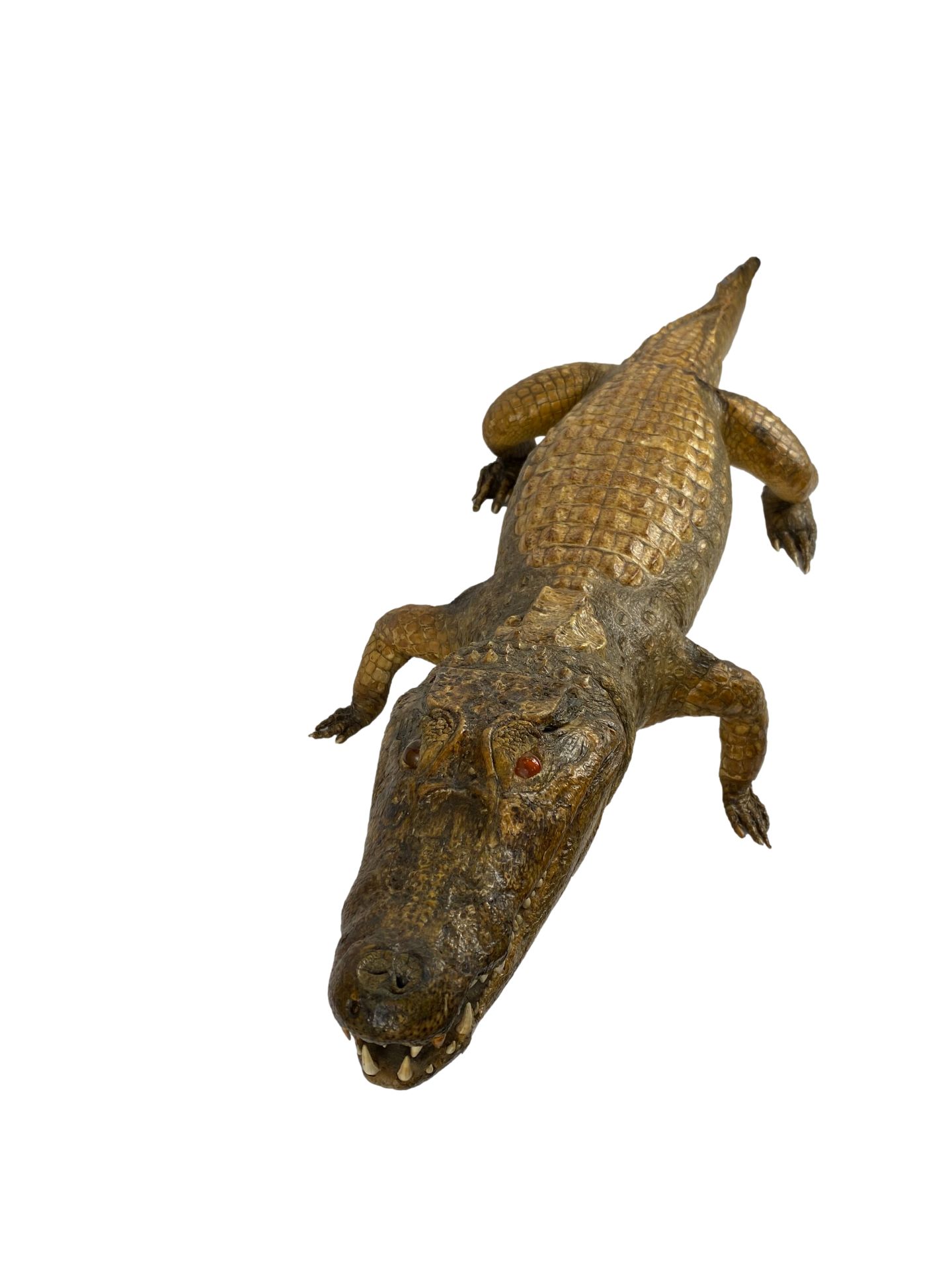 Taxidermy alligator, CITIES REGULATIONS APPLY TO THIS LOT - Image 2 of 6