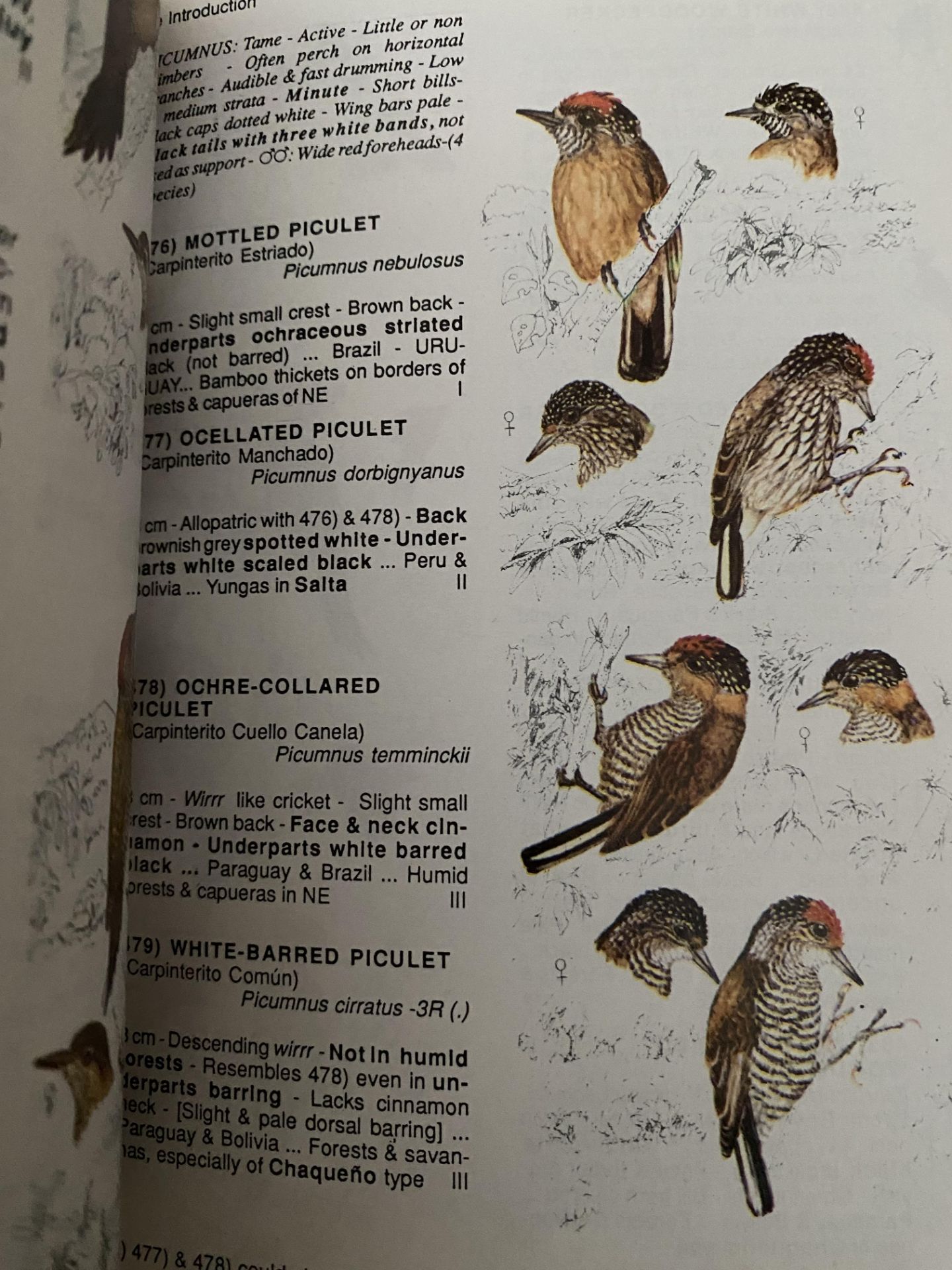 Quantity of books on birds - Image 2 of 3