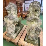 Pair of cast stone rearing lions. From the Estate of Dame Mary Quant