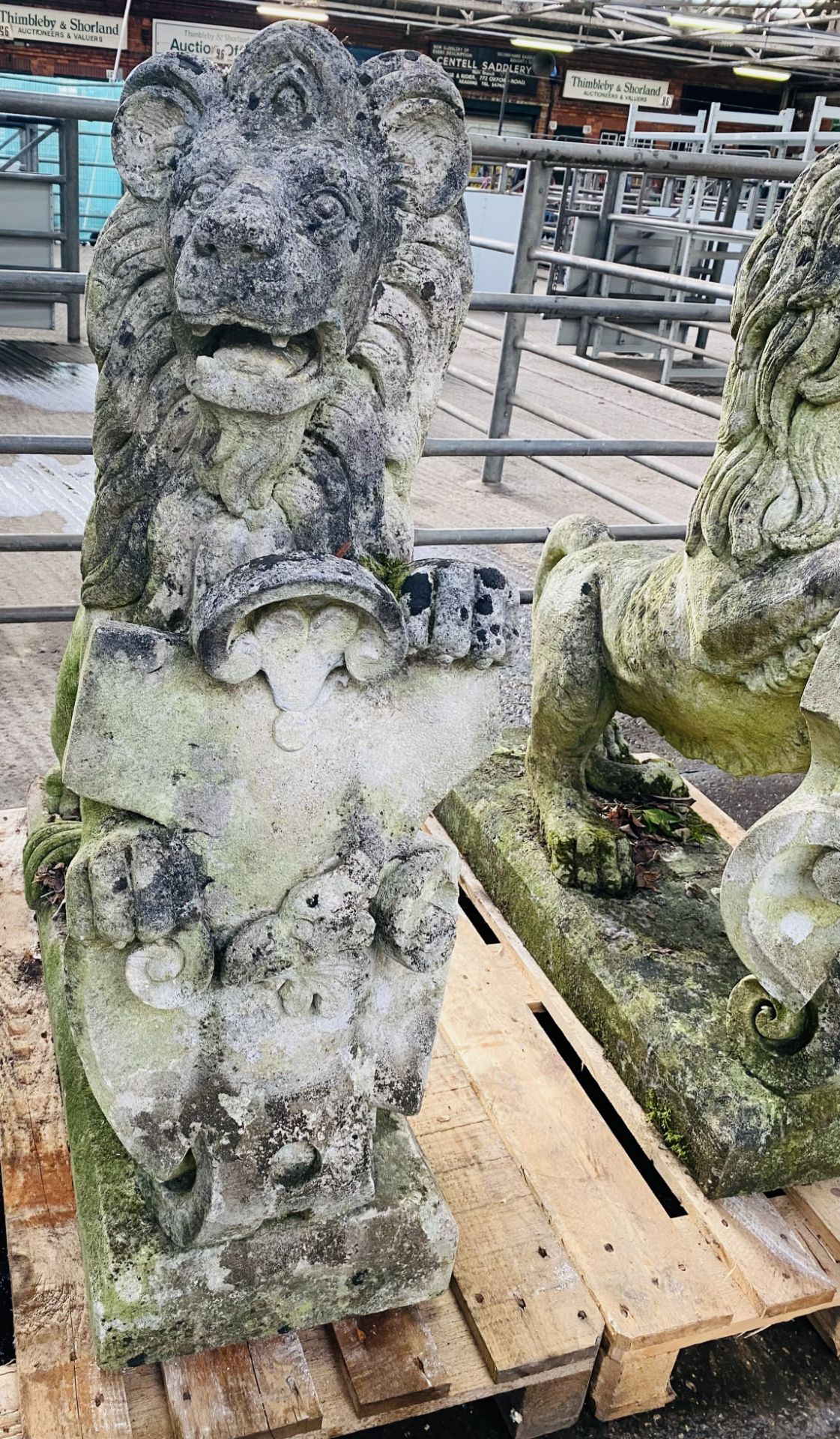 Pair of cast stone rearing lions. From the Estate of Dame Mary Quant - Image 10 of 11