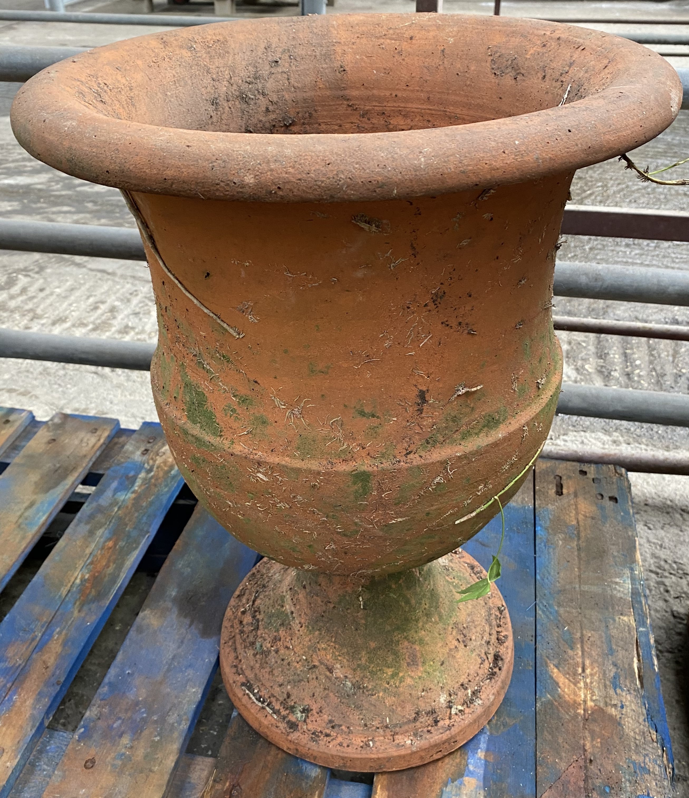 Terracotta urn planter. From the Estate of Dame Mary Quant - Image 2 of 4