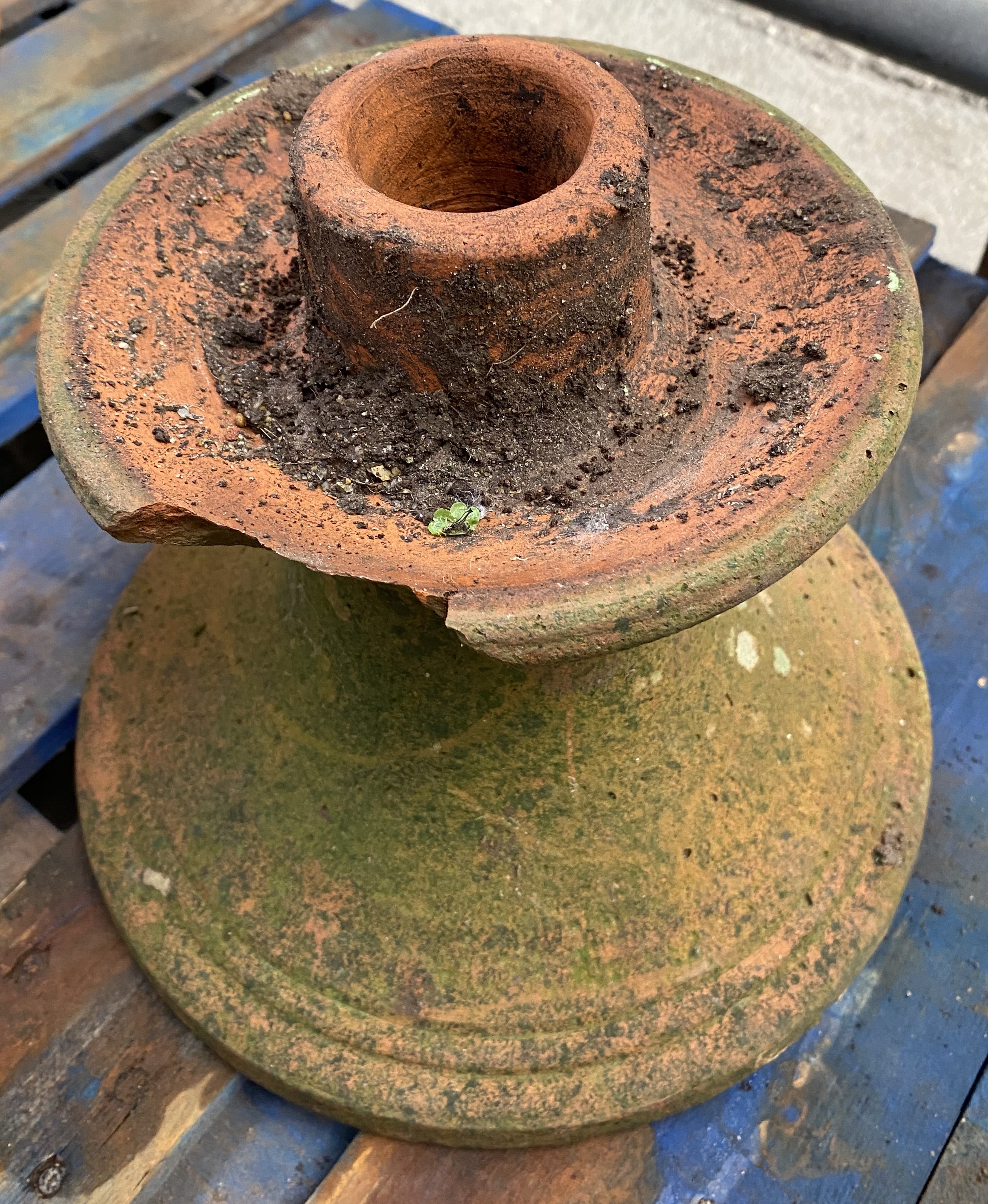 Terracotta urn planter. From the Estate of Dame Mary Quant - Image 4 of 4