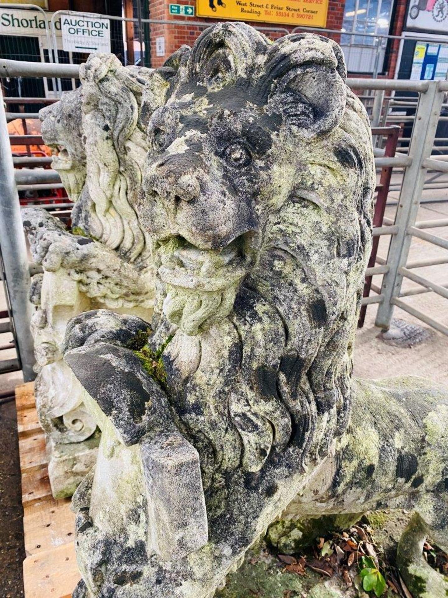 Pair of cast stone rearing lions. From the Estate of Dame Mary Quant - Image 7 of 11