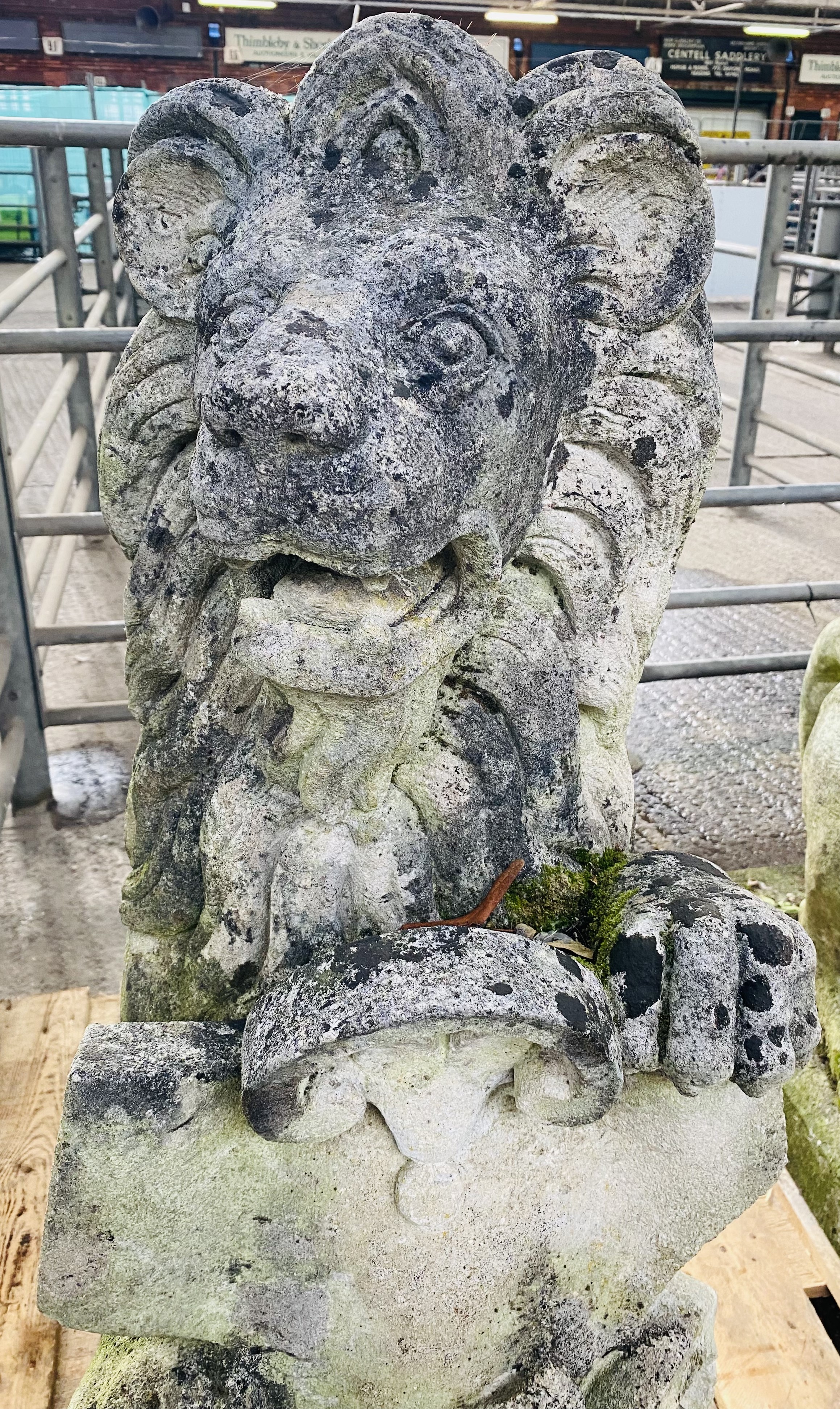 Pair of cast stone rearing lions. From the Estate of Dame Mary Quant - Bild 8 aus 11