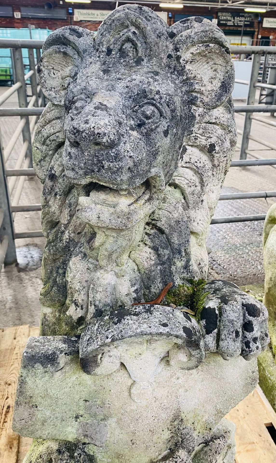 Pair of cast stone rearing lions. From the Estate of Dame Mary Quant - Image 8 of 11