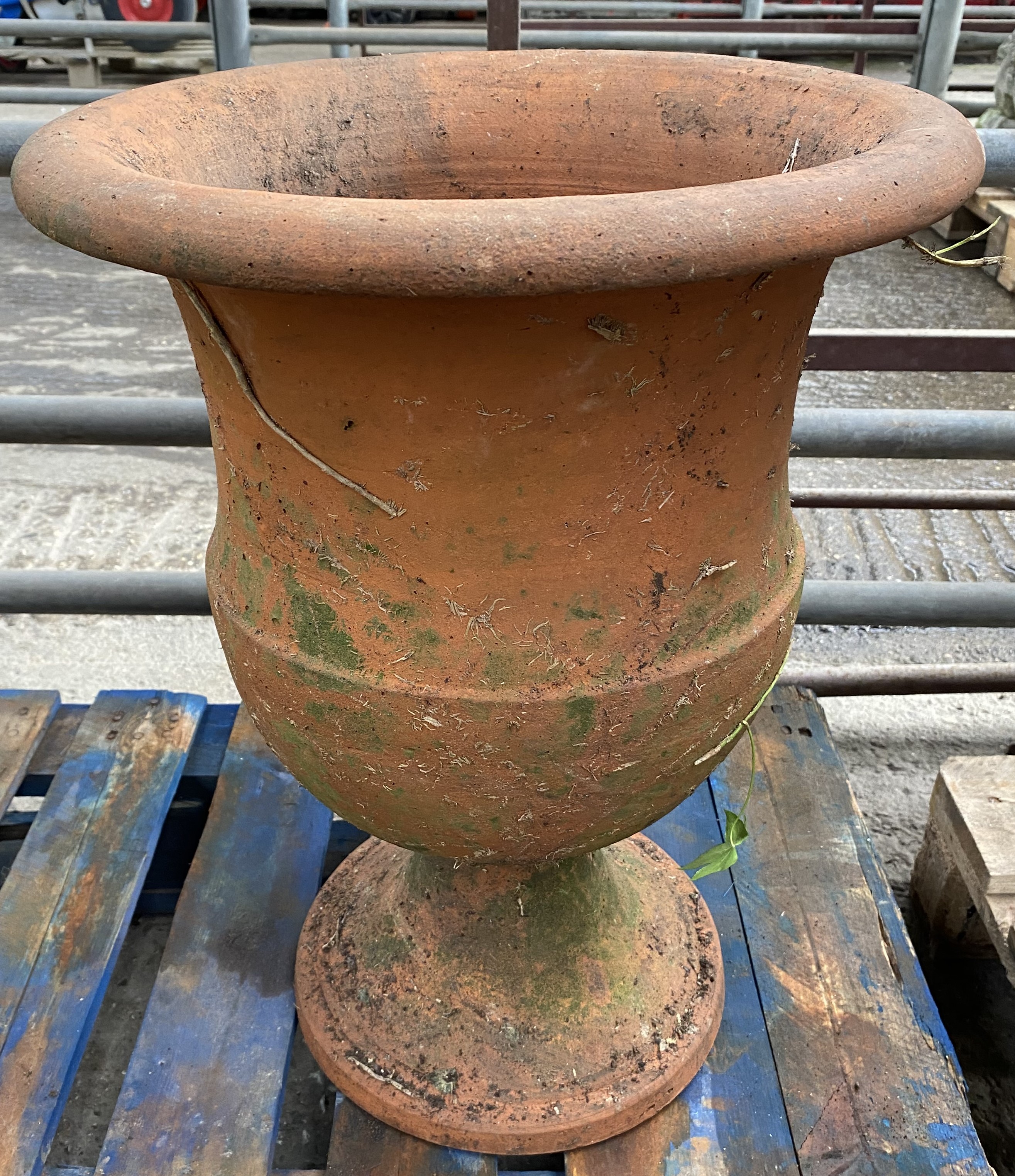 Terracotta urn planter. From the Estate of Dame Mary Quant