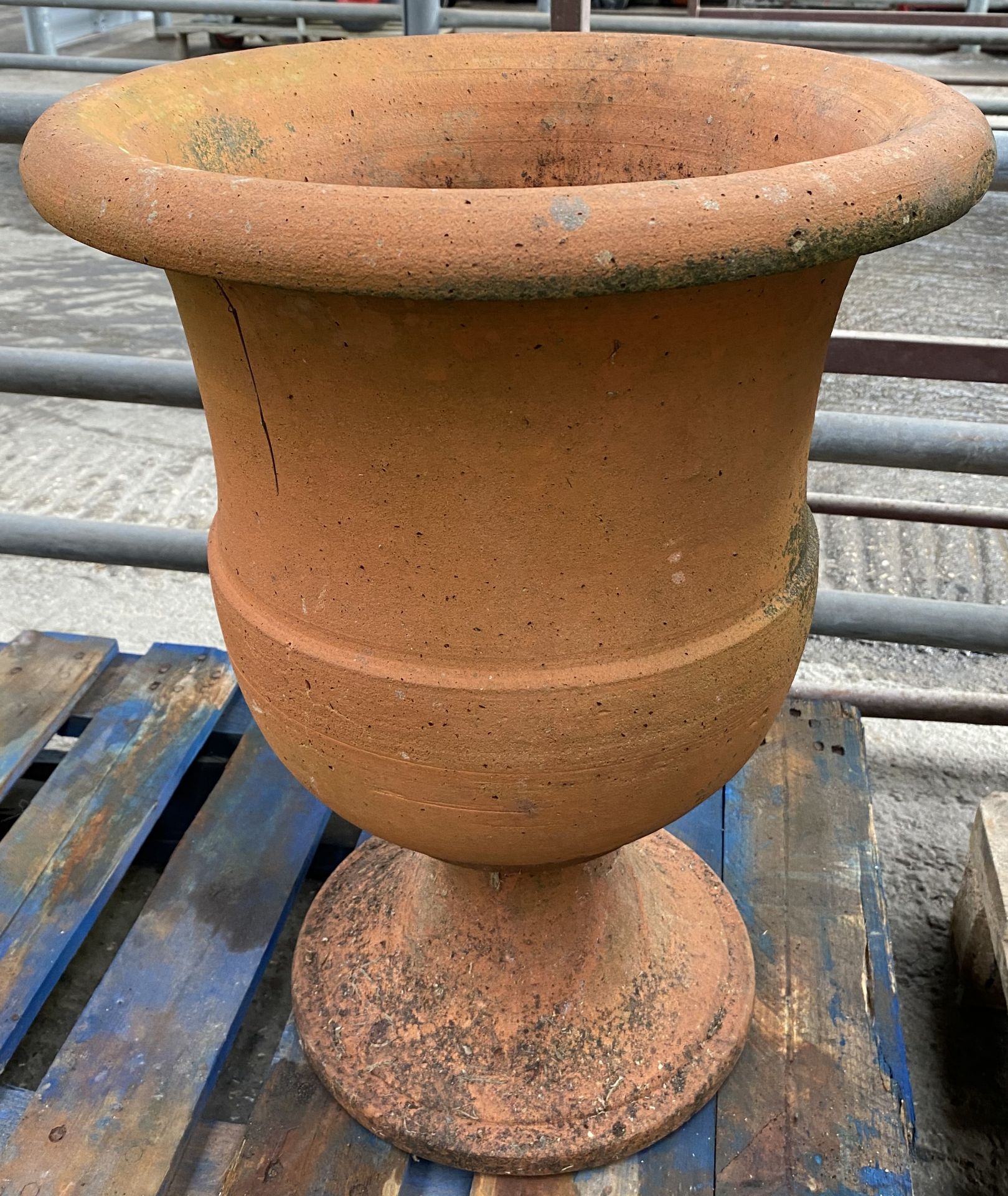 Terracotta urn planter. From the Estate of Dame Mary Quant - Image 2 of 4