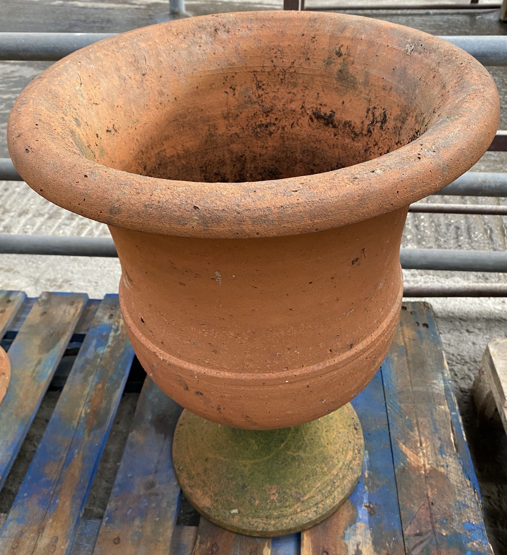 Terracotta urn planter. From the Estate of Dame Mary Quant - Image 3 of 4