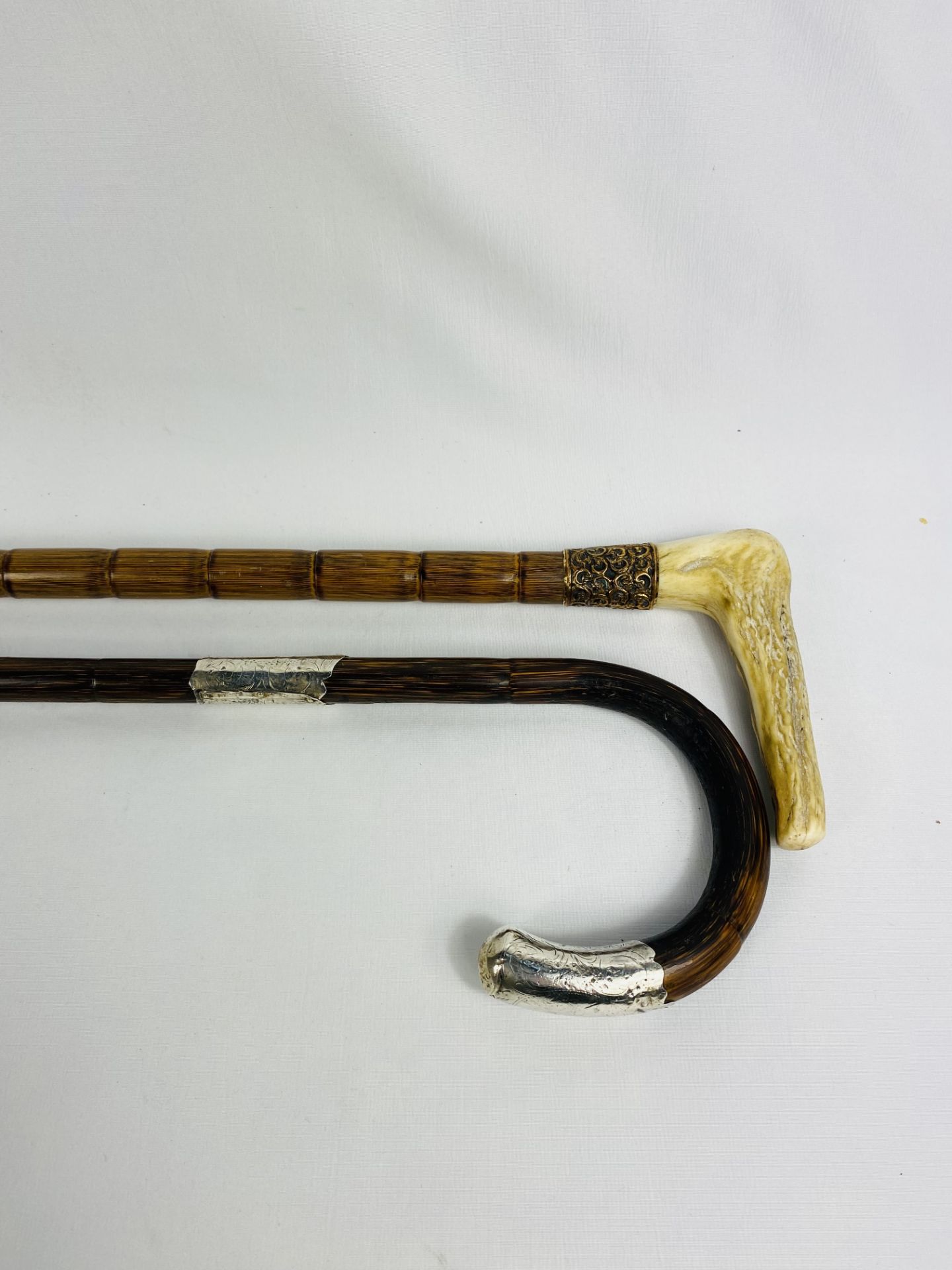Silver tipped cane together with a cane with yellow metal ferrule - Image 2 of 4