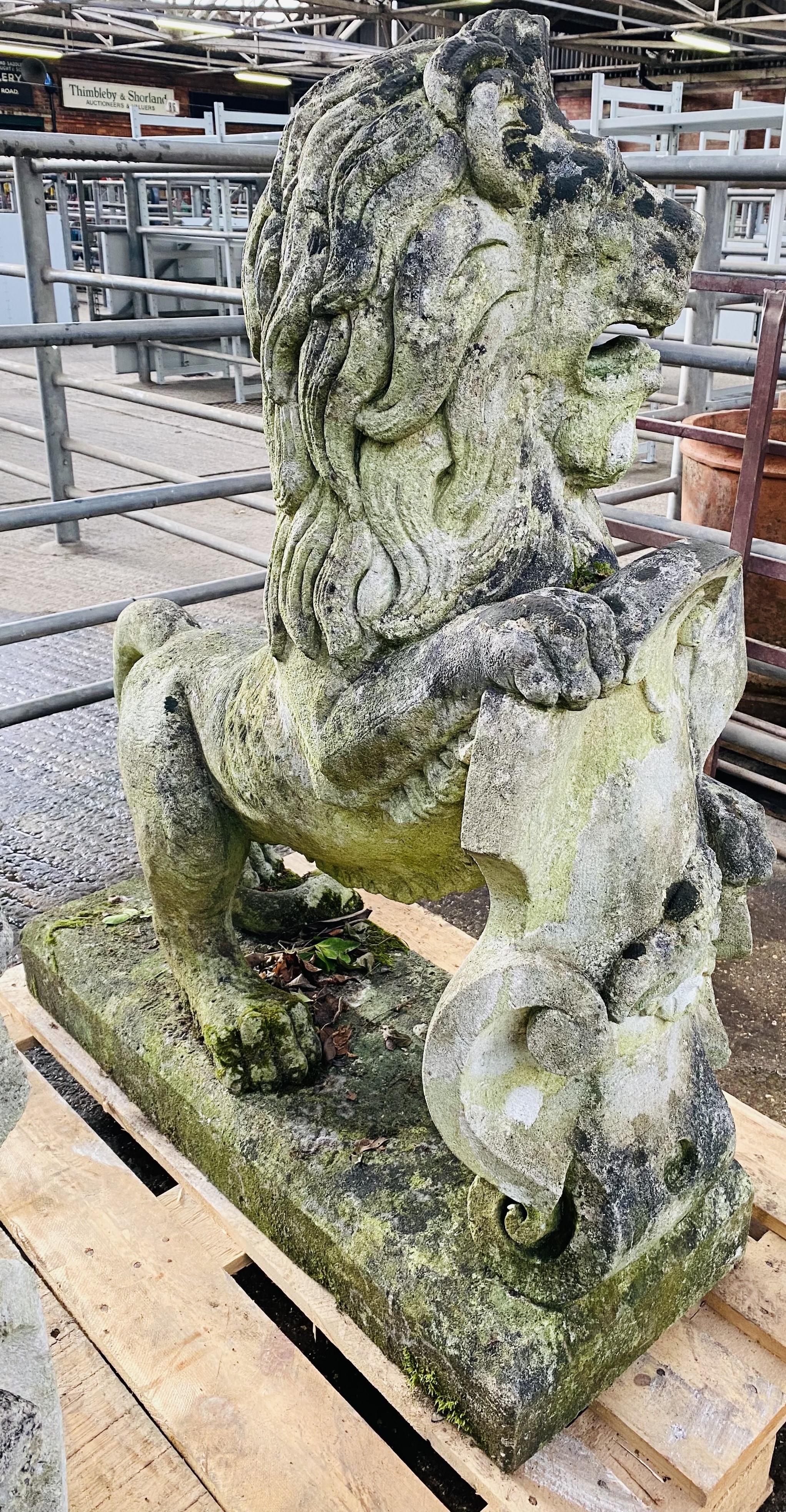 Pair of cast stone rearing lions. From the Estate of Dame Mary Quant - Bild 9 aus 11