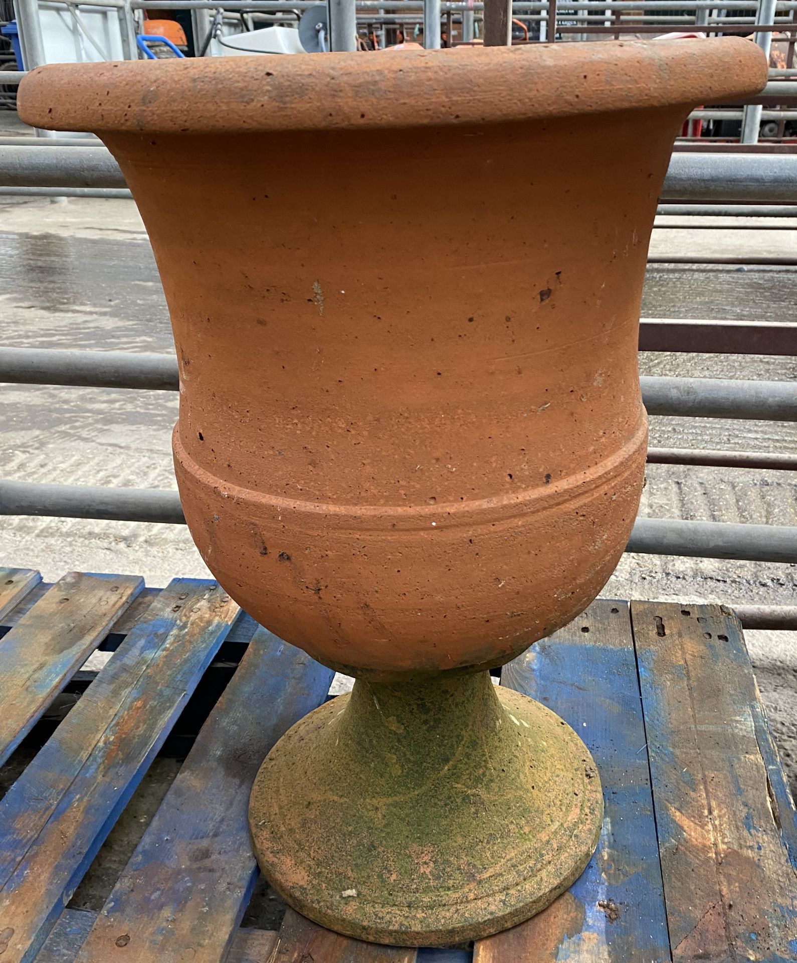 Terracotta urn planter. From the Estate of Dame Mary Quant