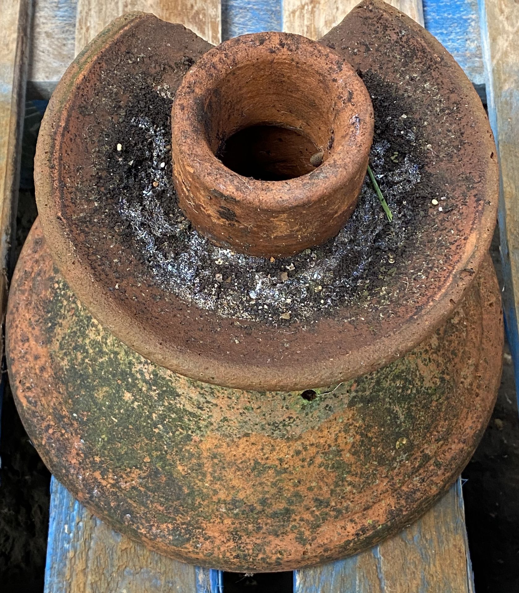 Terracotta urn planter. From the Estate of Dame Mary Quant - Image 3 of 3