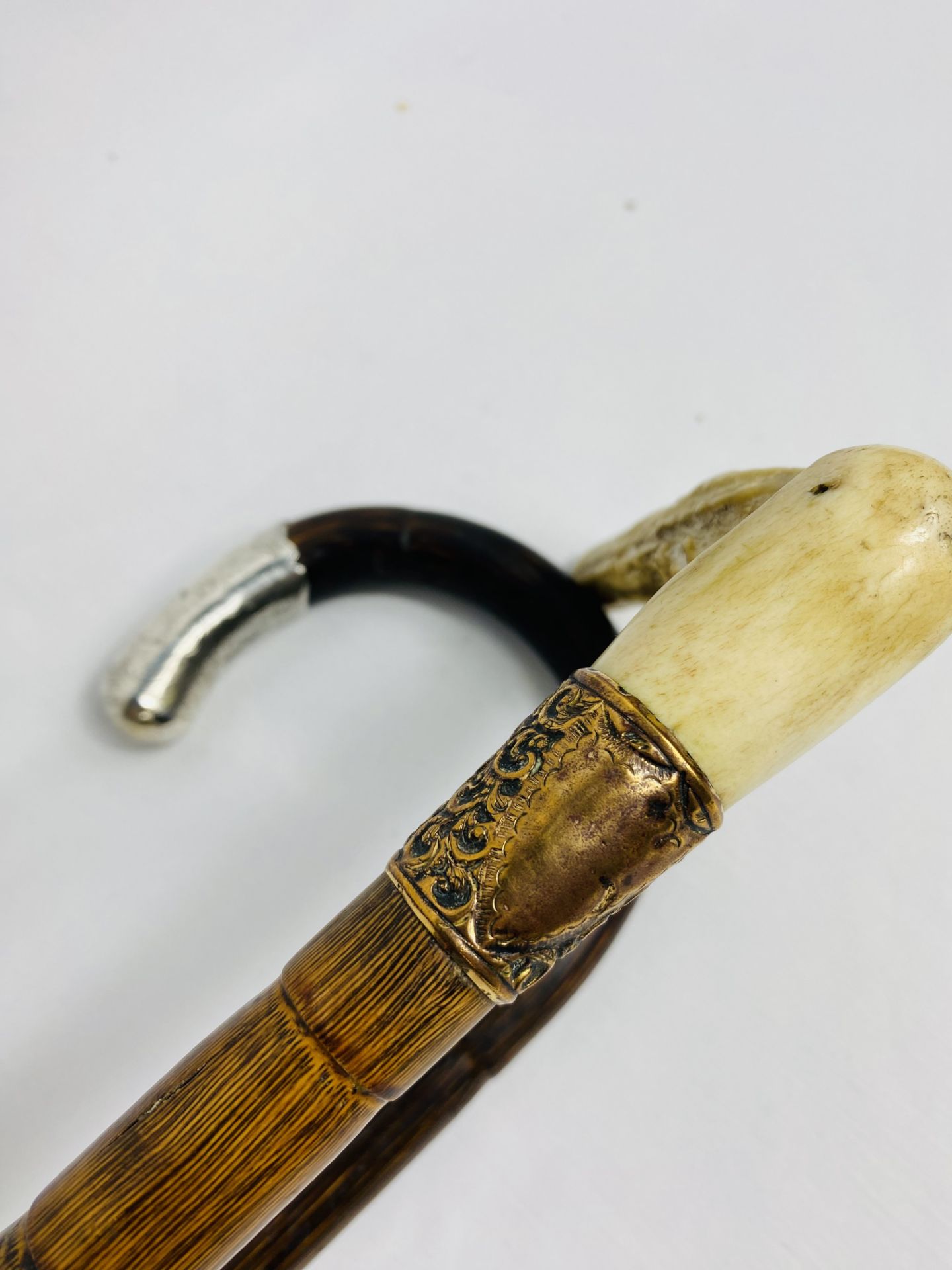 Silver tipped cane together with a cane with yellow metal ferrule - Image 4 of 4