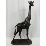 Bronzed figure of a giraffe. From the Estate of Dame Mary Quant