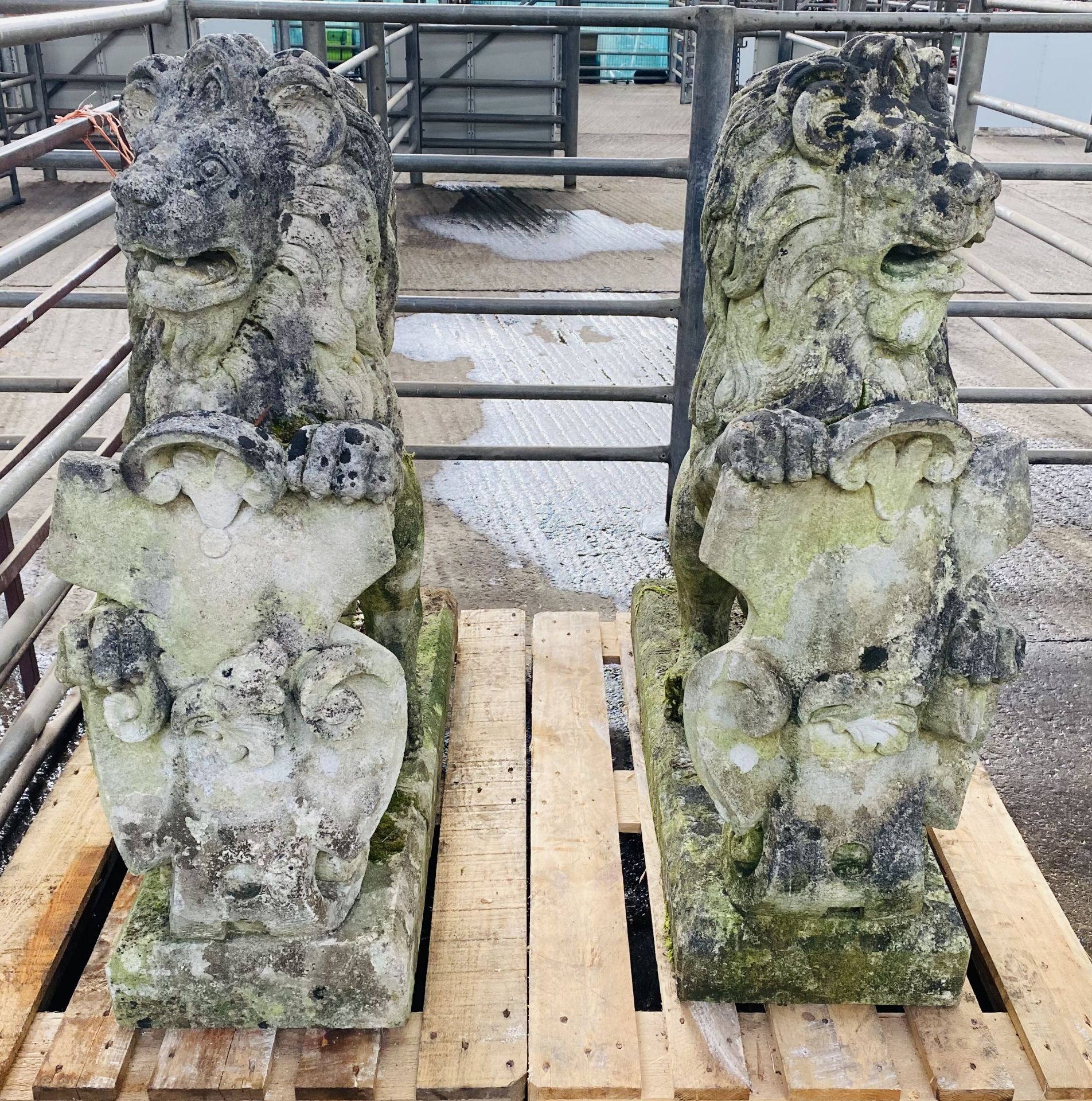 Pair of cast stone rearing lions. From the Estate of Dame Mary Quant - Image 3 of 11