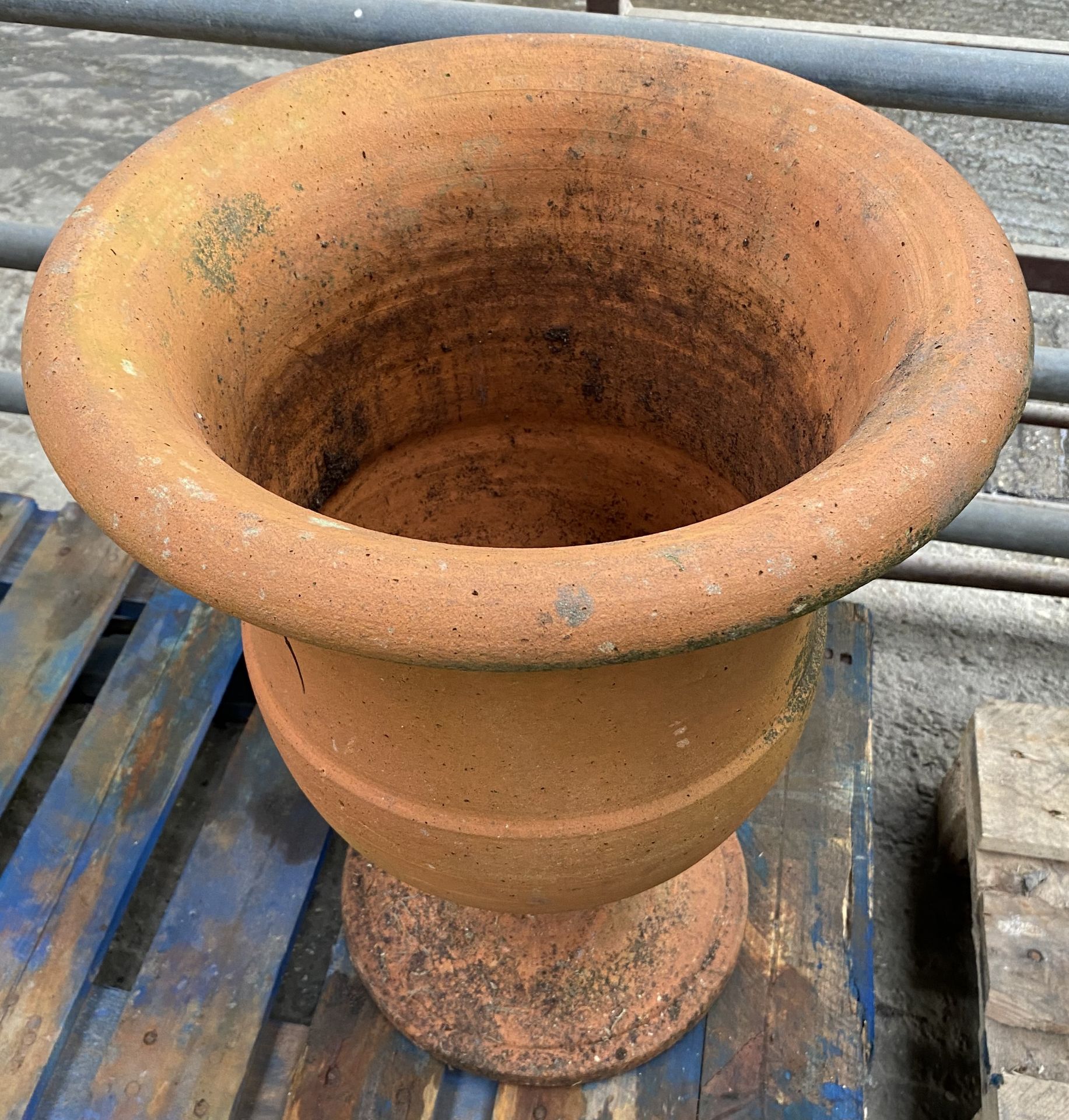 Terracotta urn planter. From the Estate of Dame Mary Quant - Image 3 of 4