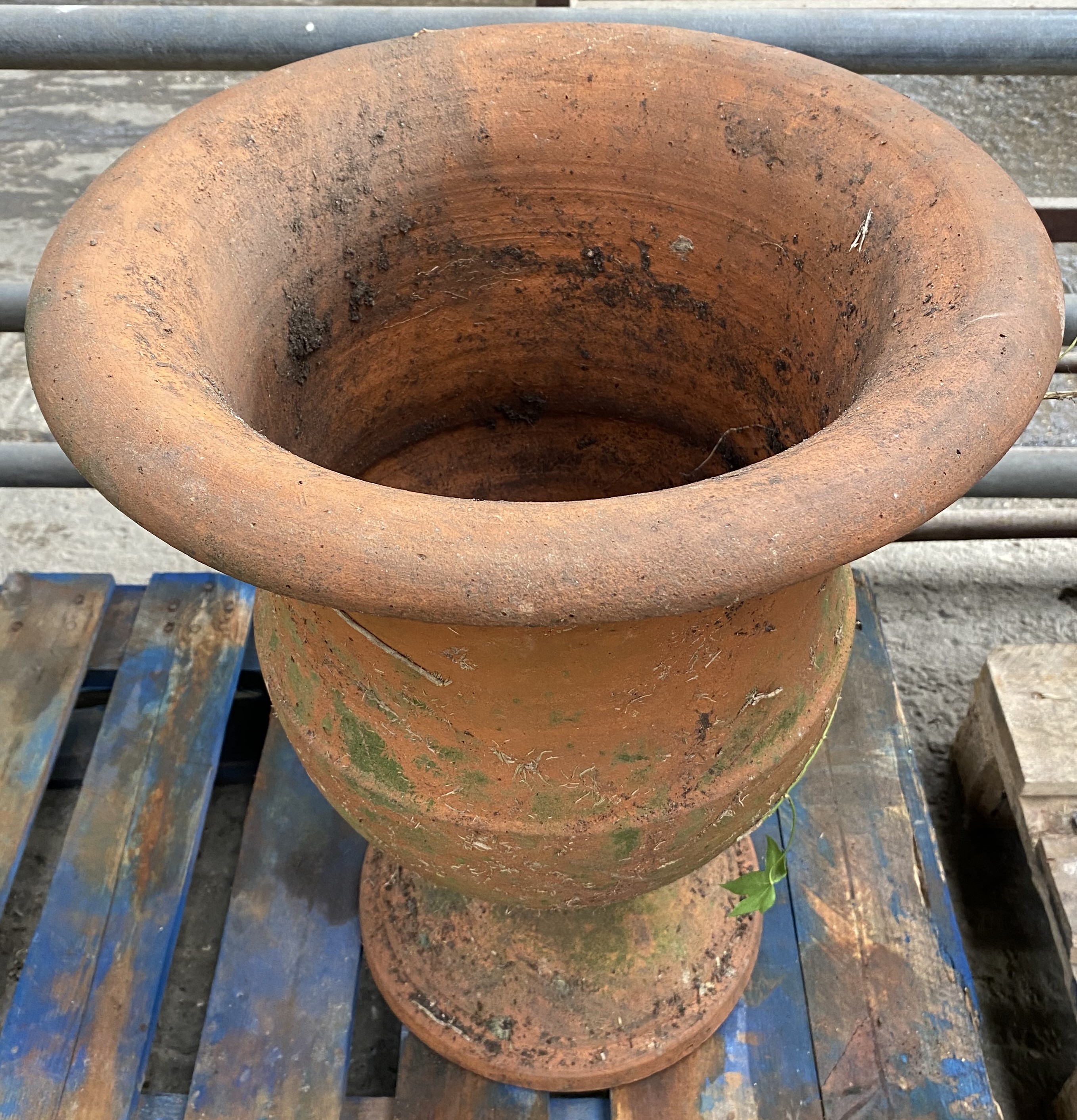 Terracotta urn planter. From the Estate of Dame Mary Quant - Image 3 of 4
