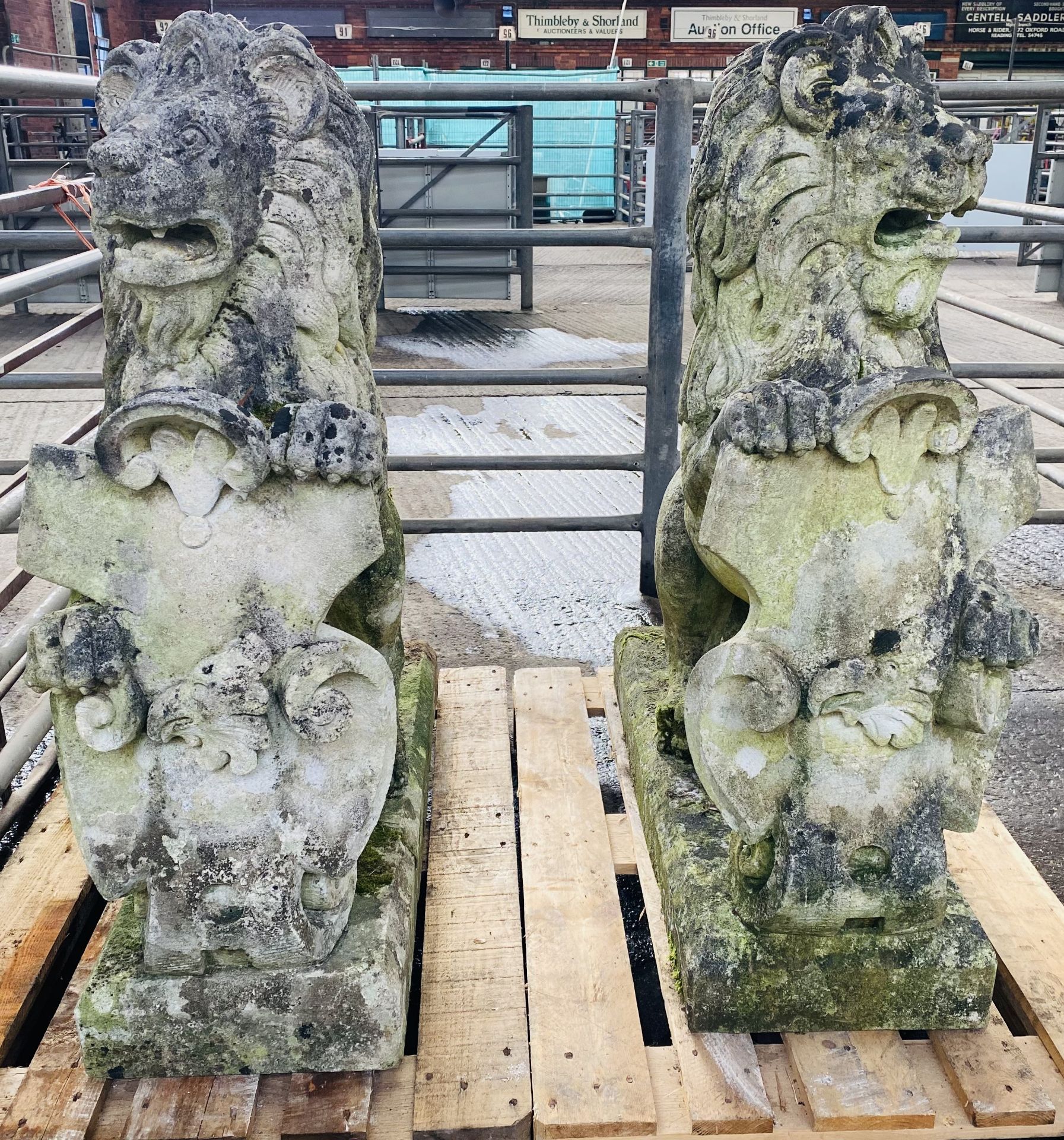 Pair of cast stone rearing lions. From the Estate of Dame Mary Quant - Image 4 of 11