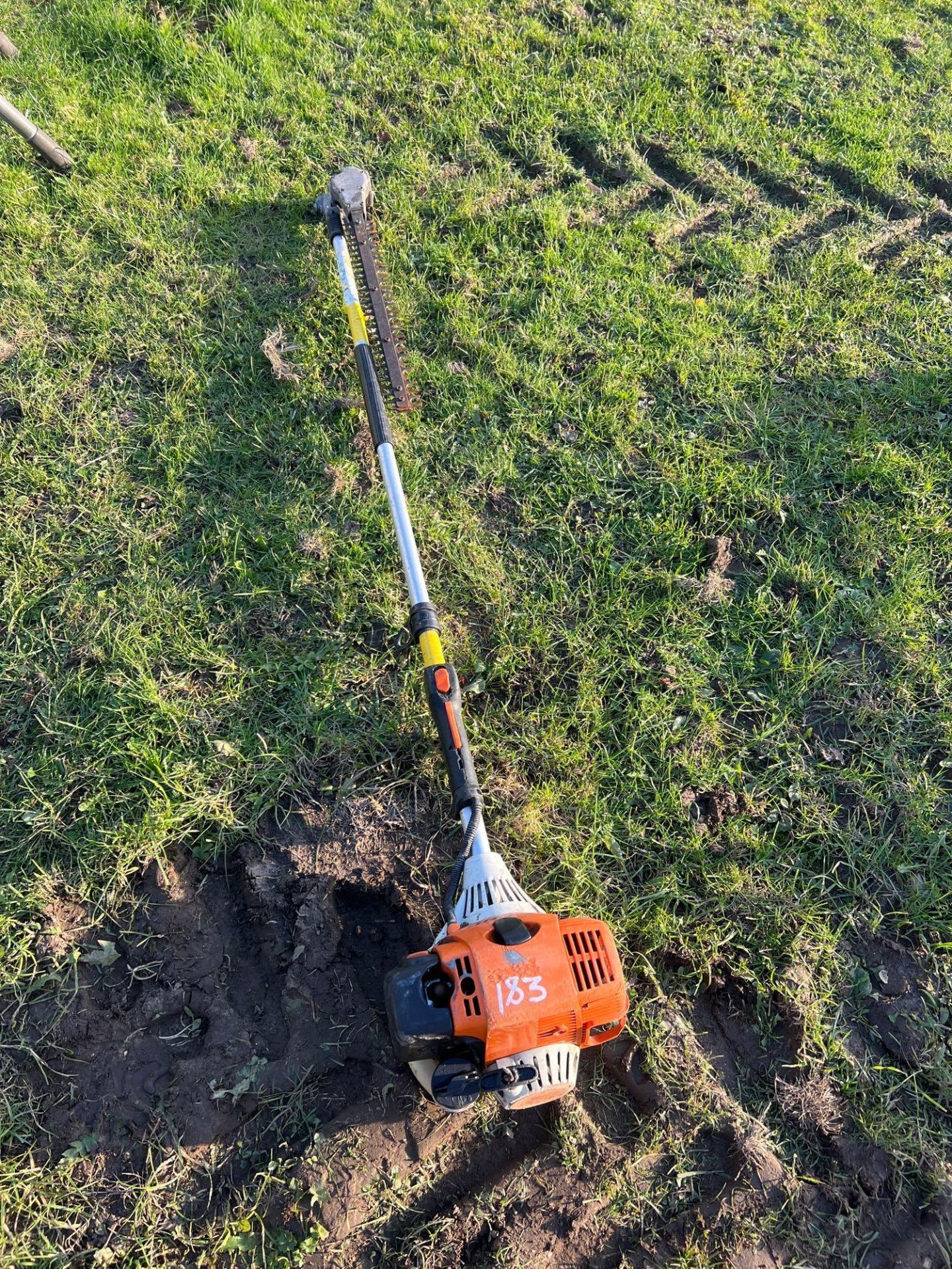 Stihl long reach hedge trimmer