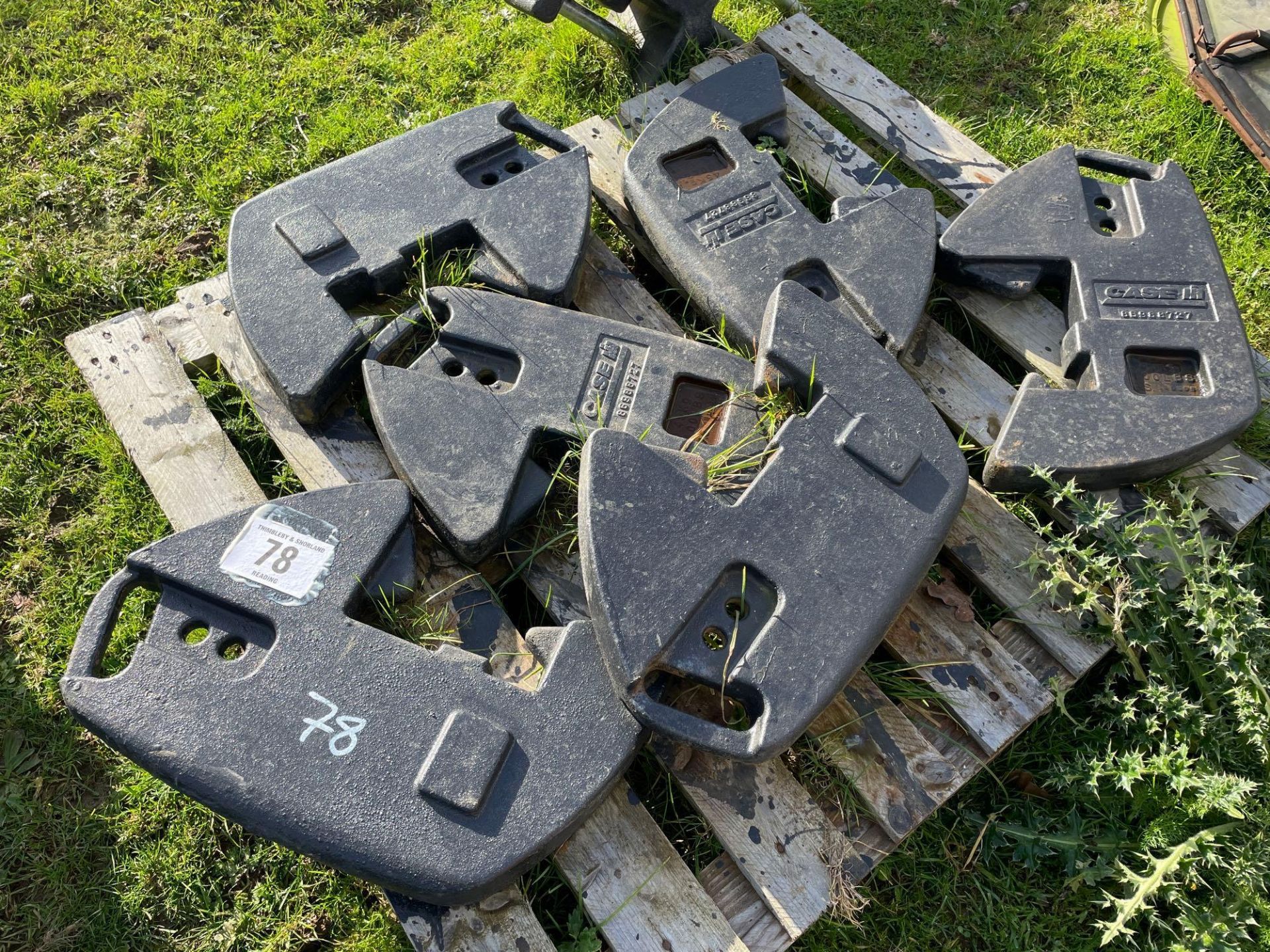 Assorted Case weights