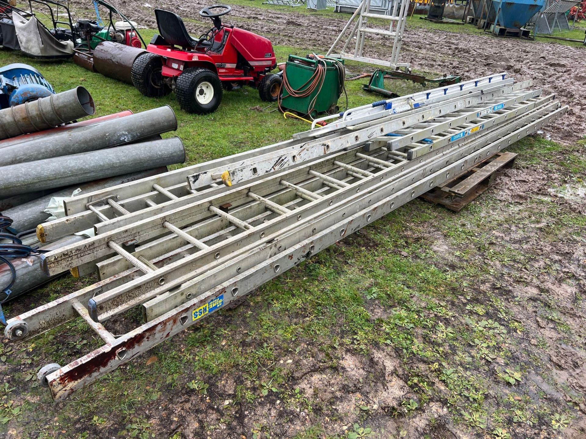 Pallet of ladders