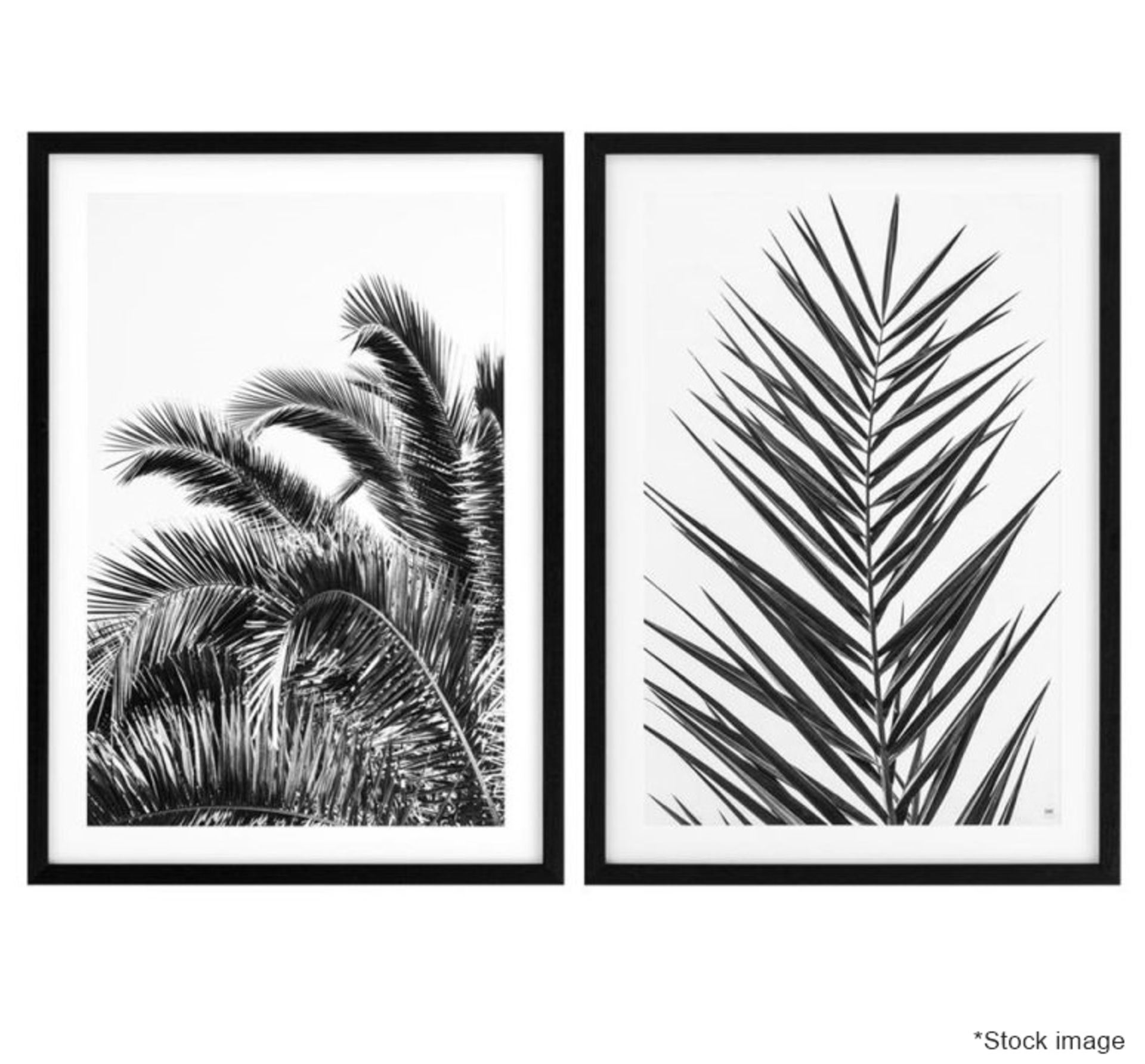 Set Of 2 x EICHHOLTZ Framed Monochrome Art Prints Of Palm Leaves - Original RRP £1,400!