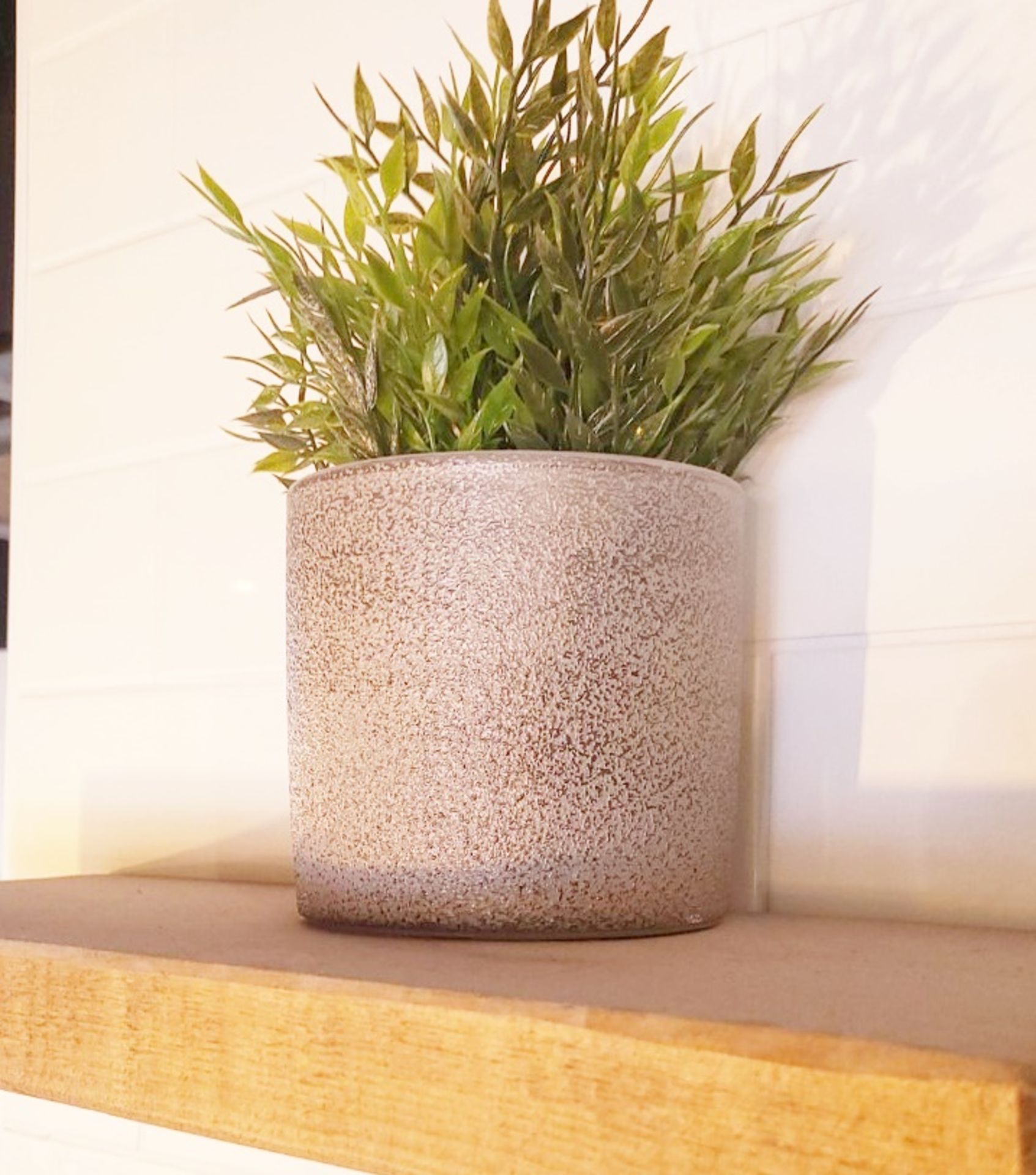 Set Of 12 x Various Artificial Herbs & Plants (5-20cm) In Individual Ceramic Patterned Grey Pots - Image 3 of 6