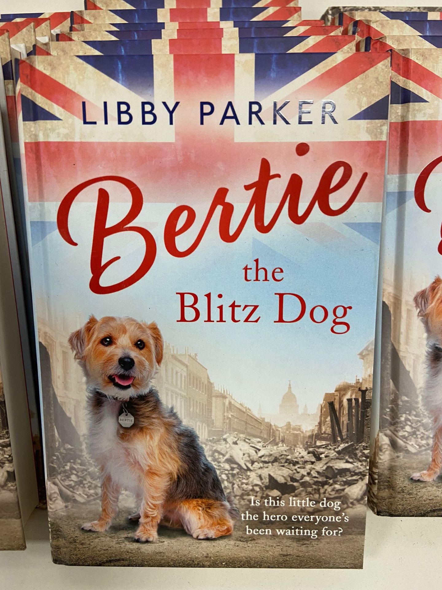 22 x LIBBY PARKERS' Bertie The Blitz Dog In Hardcover - Image 2 of 2