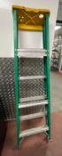 1 x Pair Of Heavy Duty 6-Step Ladders - CL819 - Location: Altrincham WA14 *More information