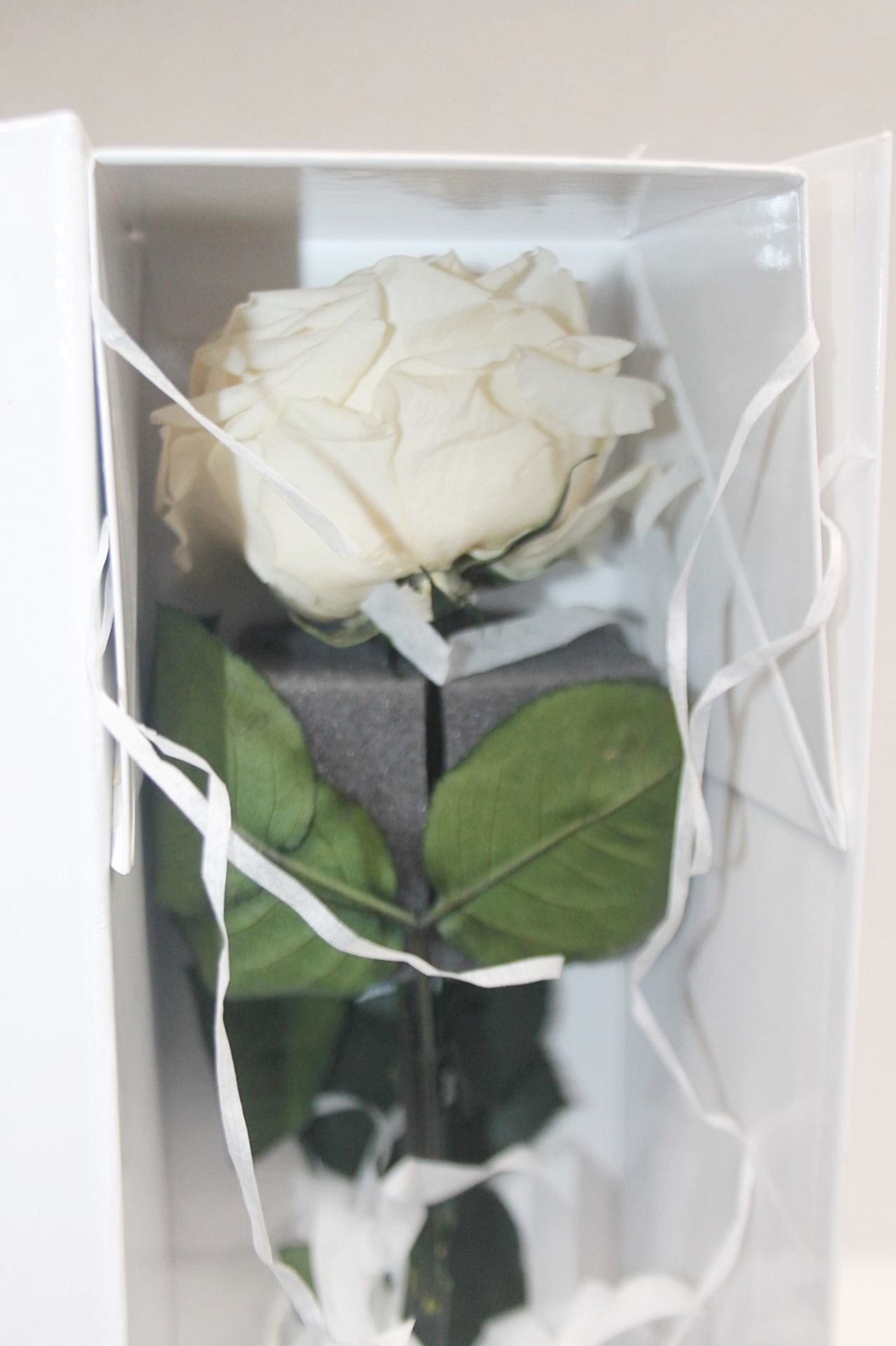 1 x ETHERAL BLOOMS Preserved Single White Rose - Original Price £45.00 - Image 2 of 4