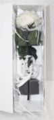 1 x ETHERAL BLOOMS Preserved Single White Rose - Original Price £45.00