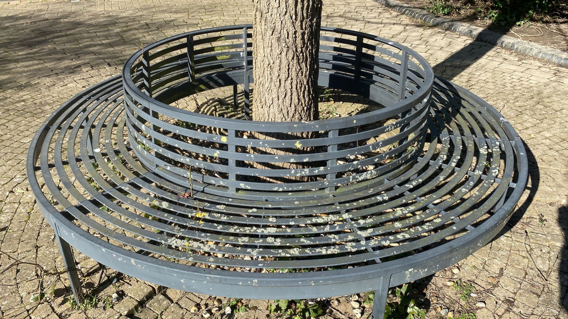 1 x Round Metal Seating Tree Bench With Slatted Seats / Backrests - Diameter: 250cms - Image 3 of 4