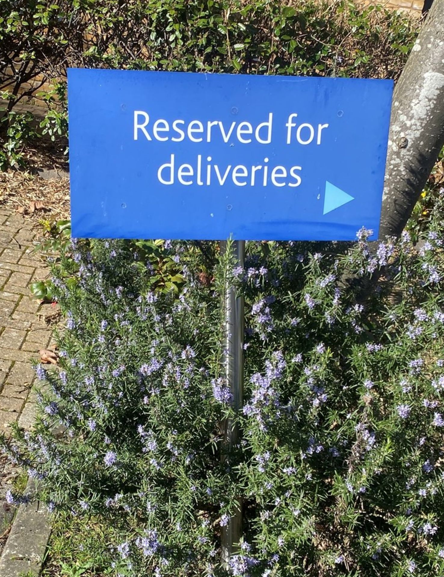 6 x Business Notice Signs Including Visitors Directions, Fire Assembly & Reserved For Deliveries - Image 7 of 7