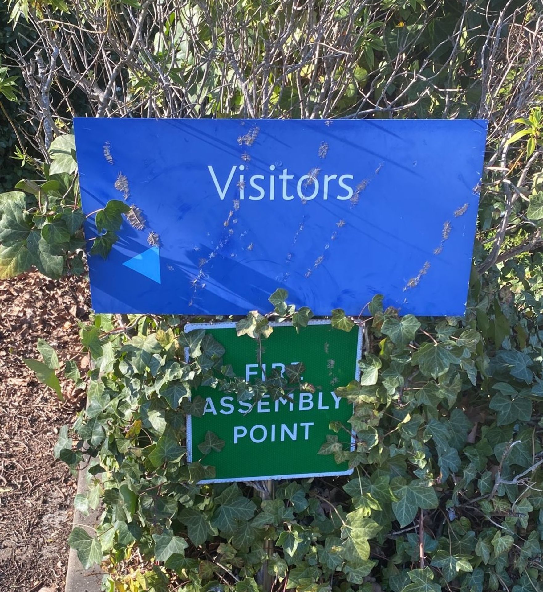 6 x Business Notice Signs Including Visitors Directions, Fire Assembly & Reserved For Deliveries - Image 2 of 7