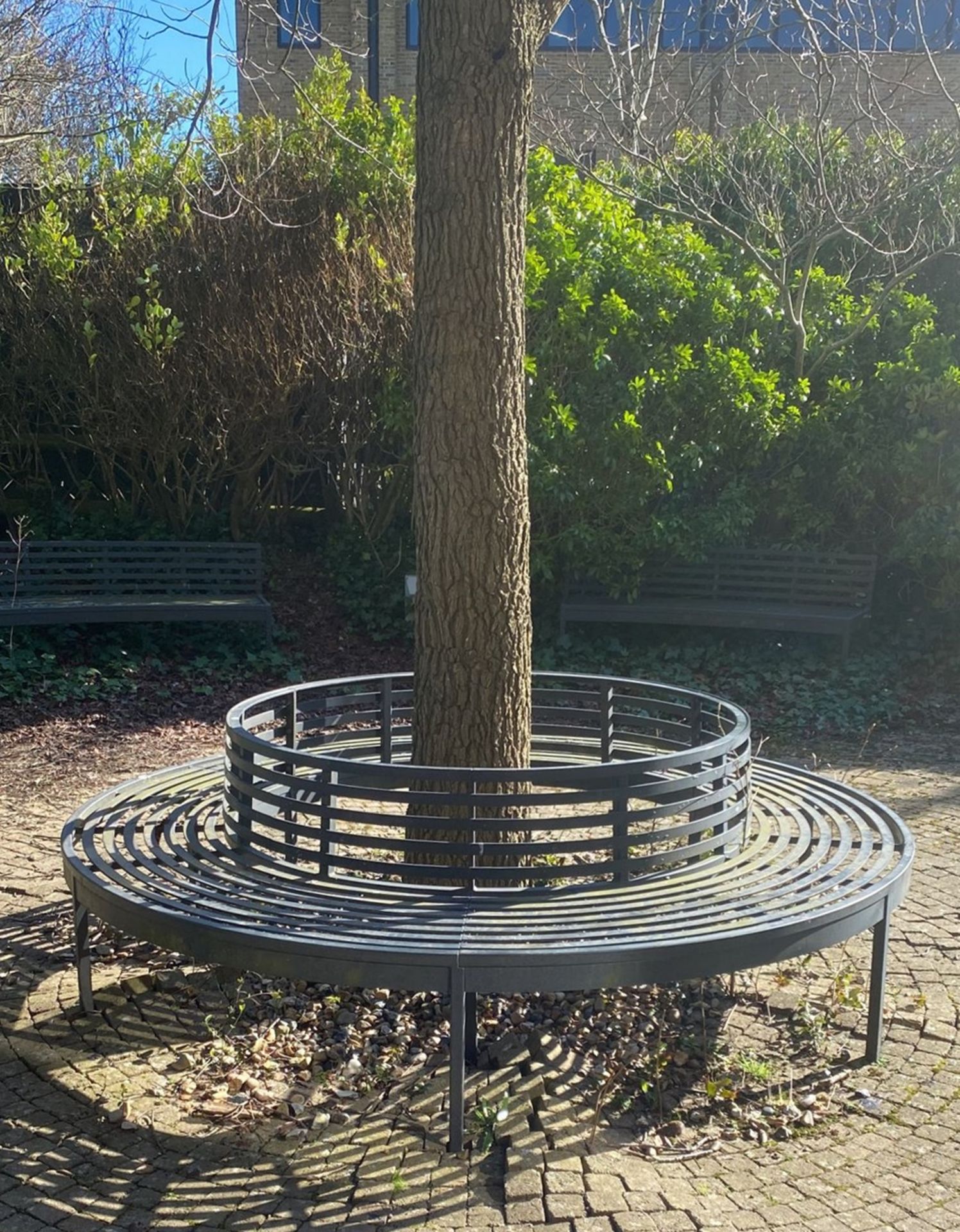 1 x Round Metal Seating Tree Bench With Slatted Seats / Backrests - Diameter: 250cms - Image 2 of 4
